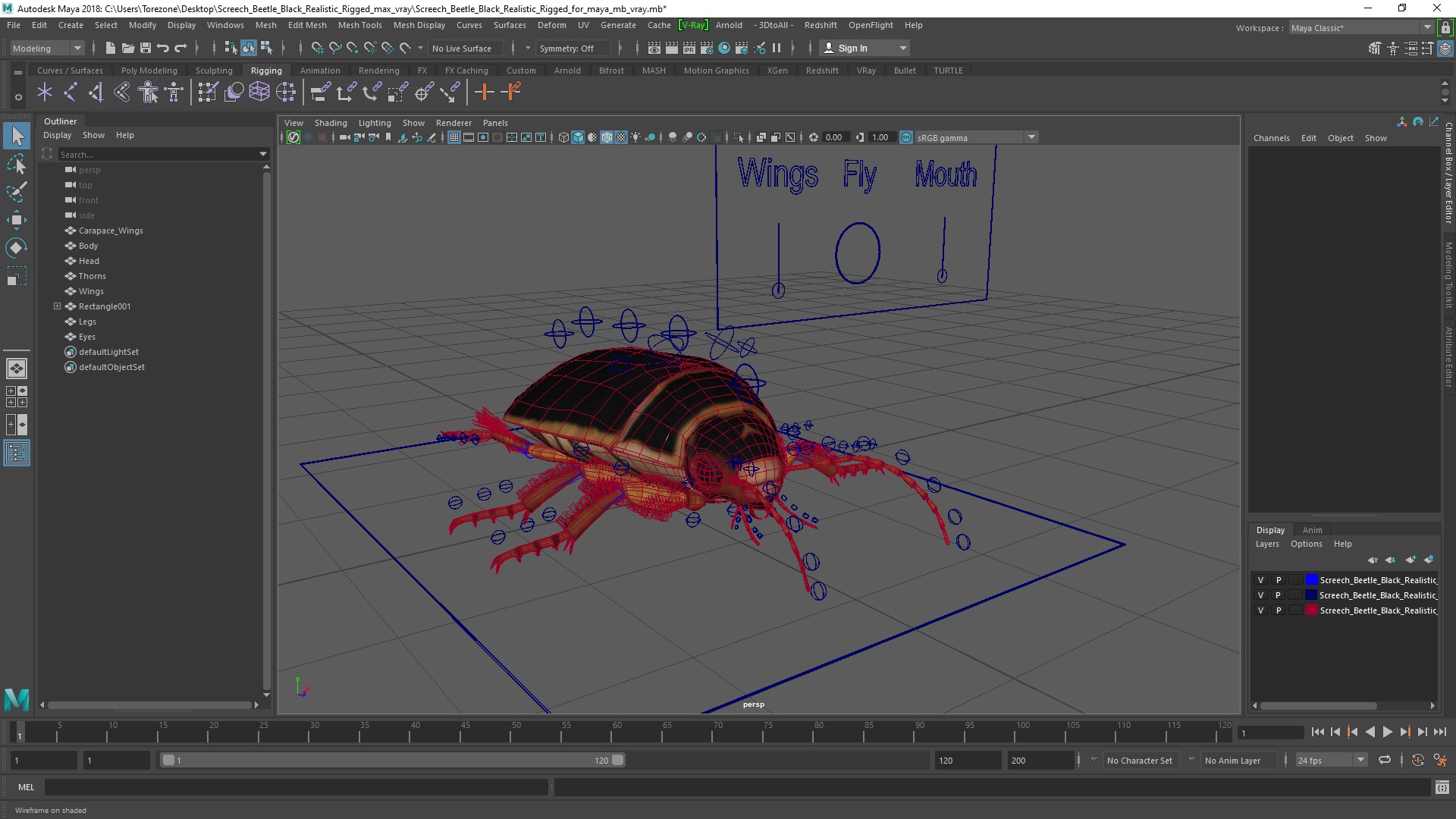 3D Screech Beetle Black Realistic Rigged for Maya