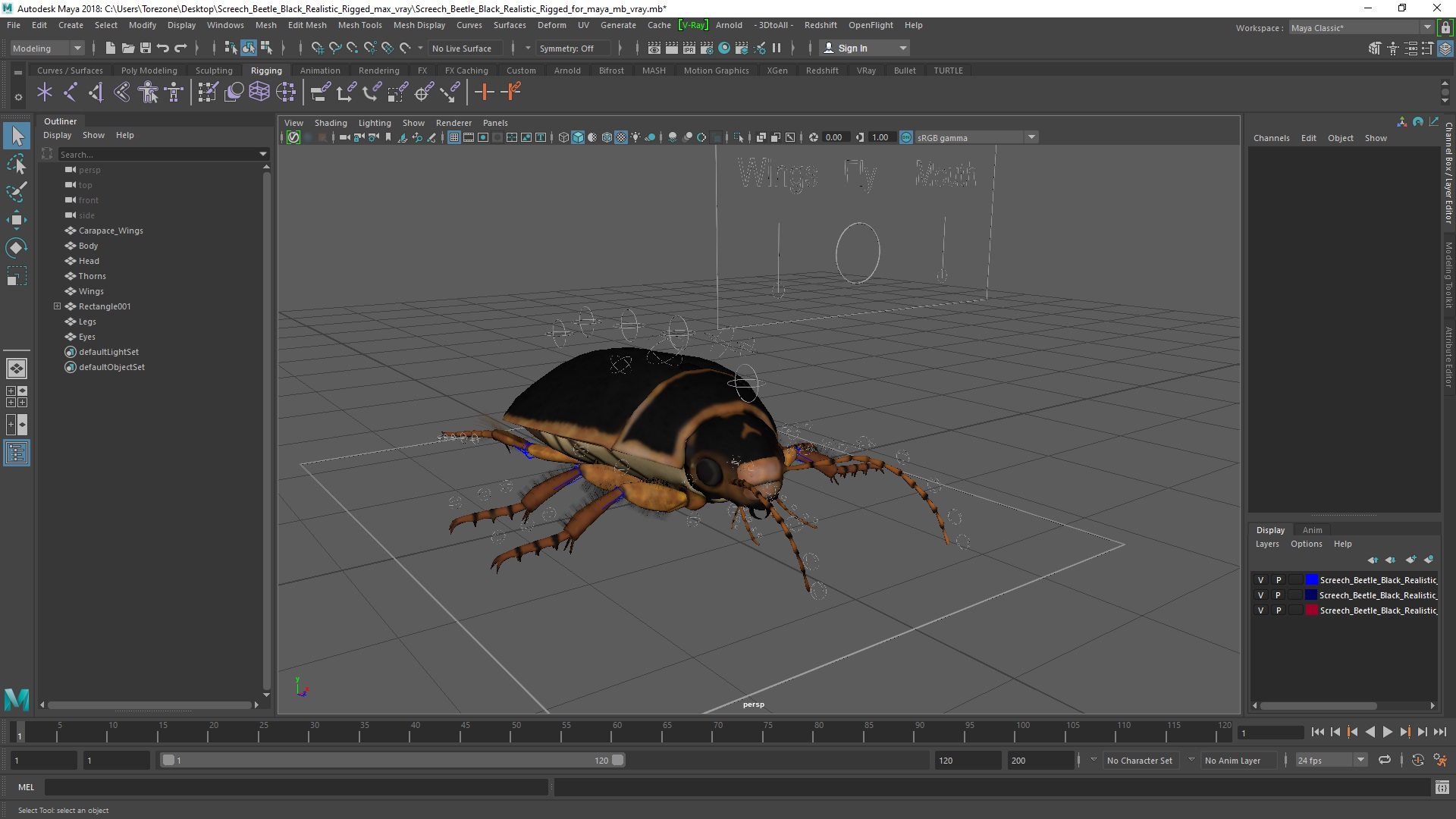 3D Screech Beetle Black Realistic Rigged for Maya