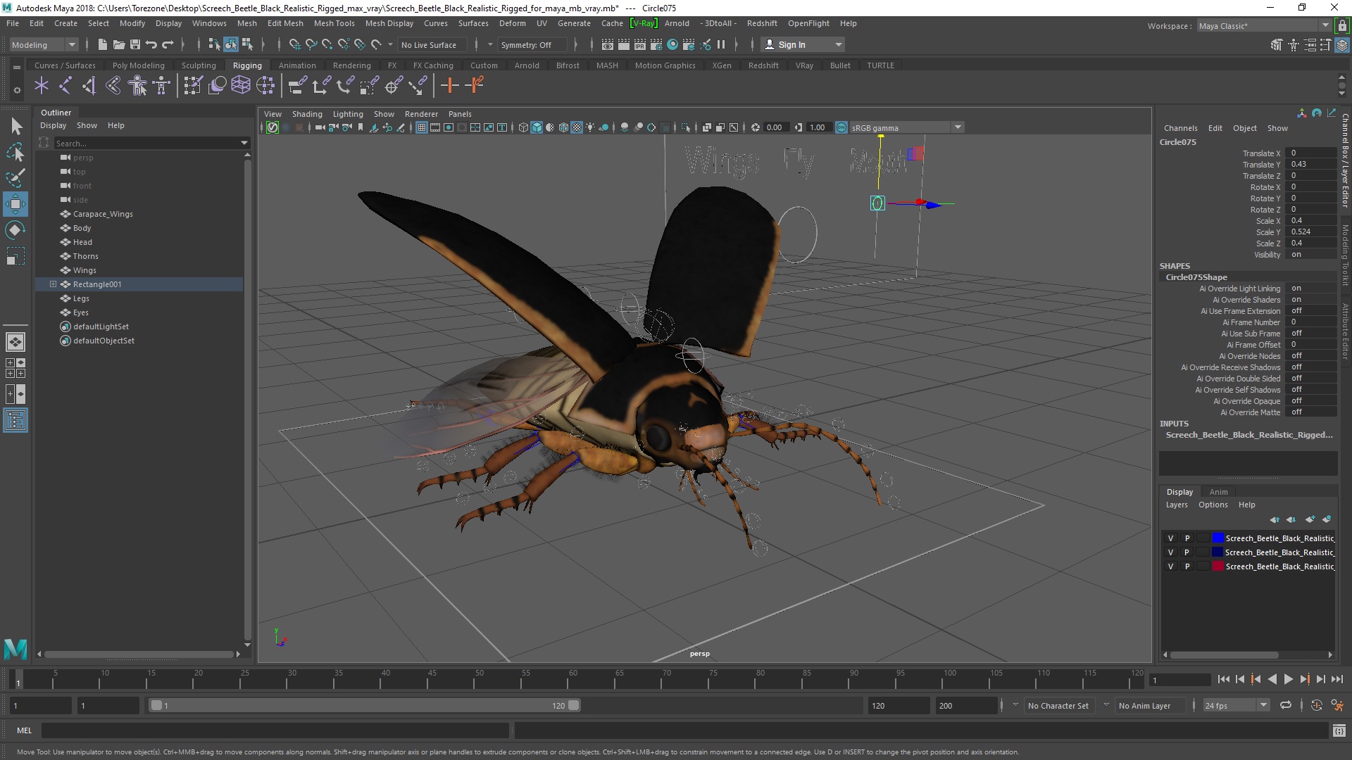 3D Screech Beetle Black Realistic Rigged for Maya