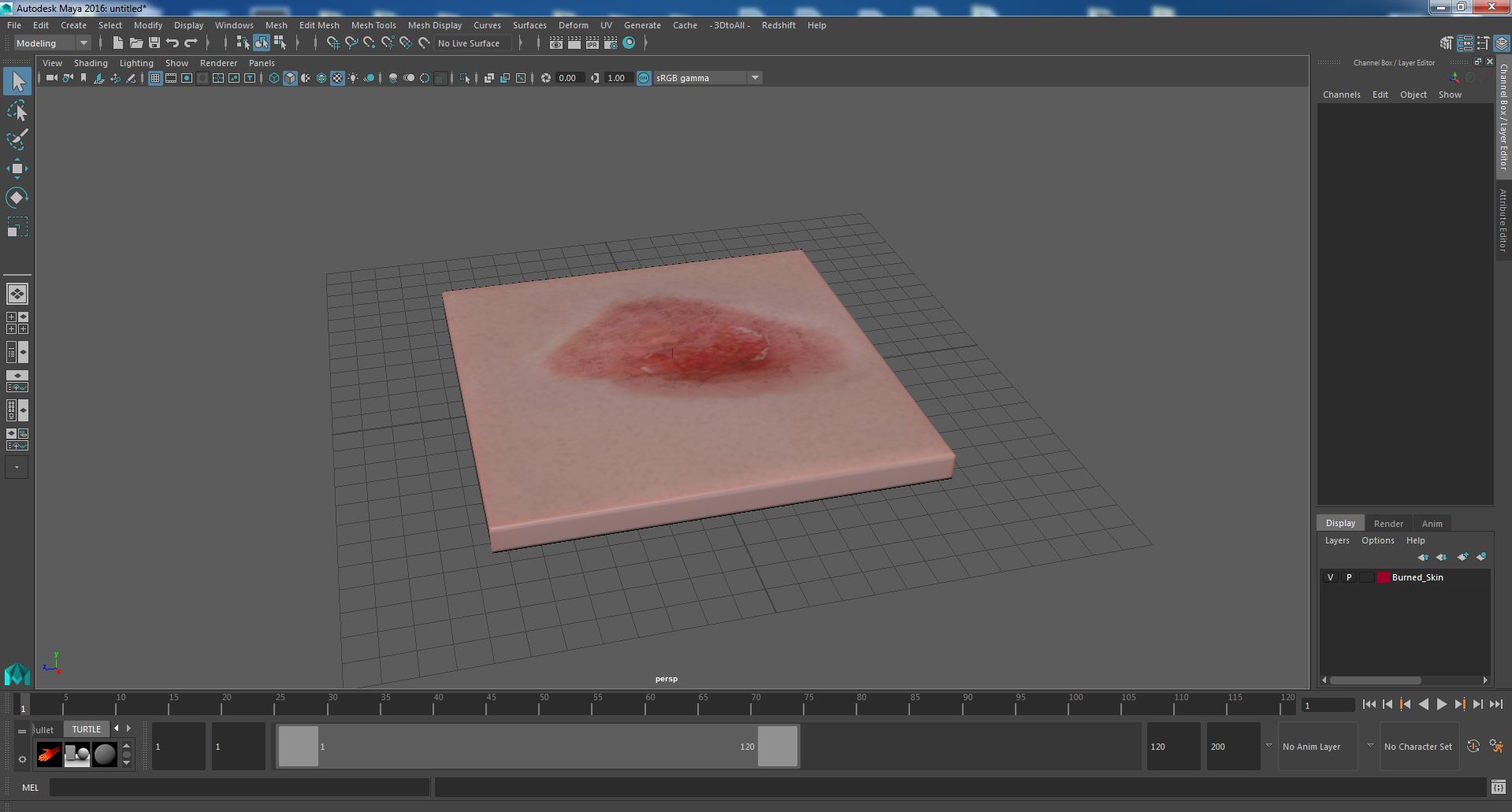 3D Burned Skin