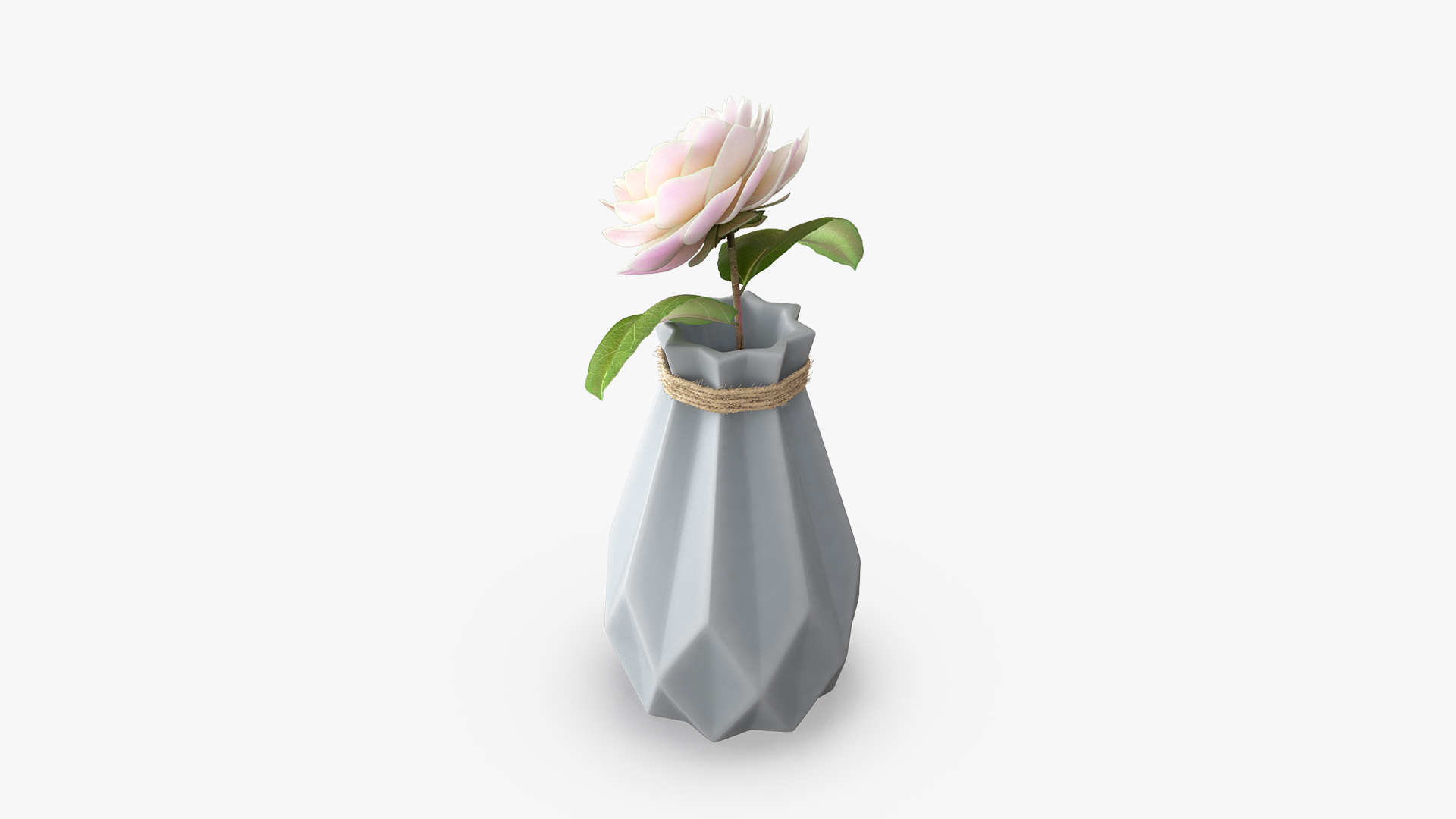 3D Diamond shape Vase with Camelia Flower model