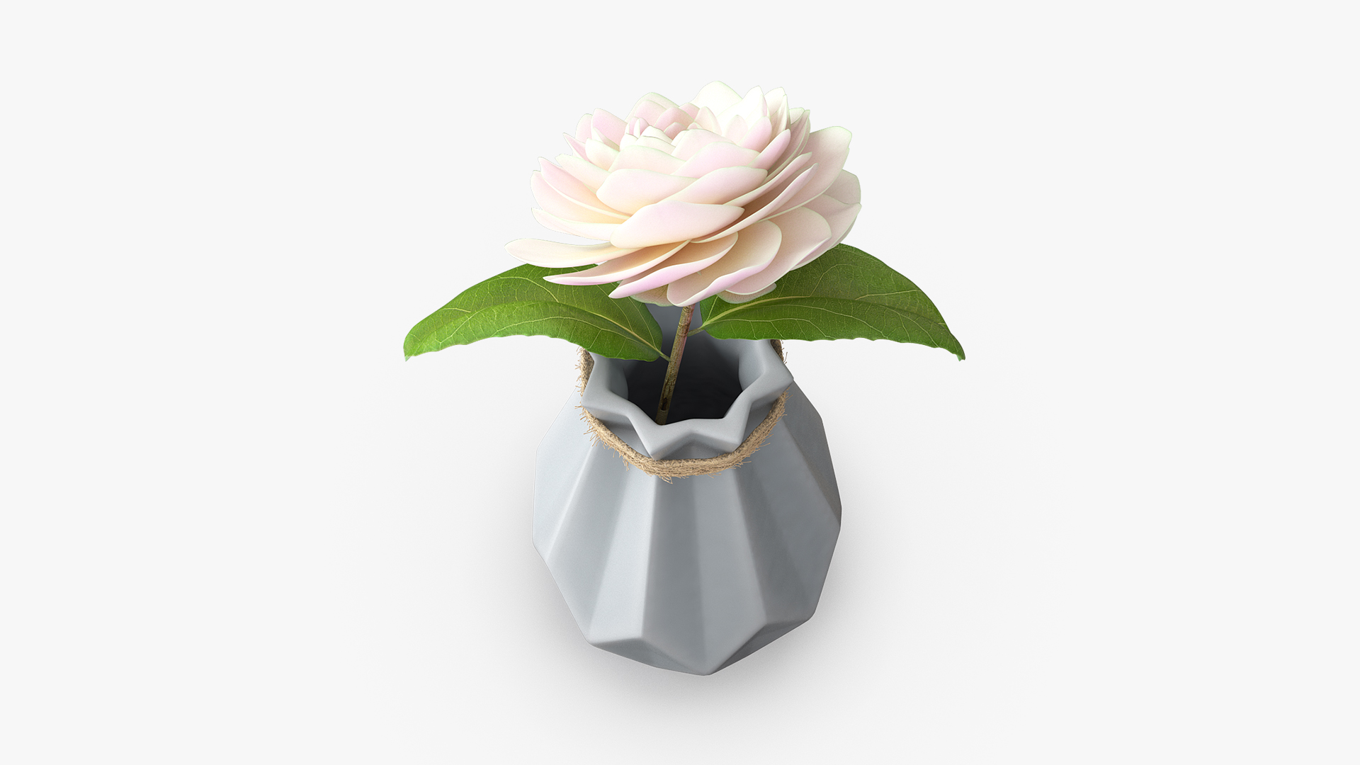 3D Diamond shape Vase with Camelia Flower model