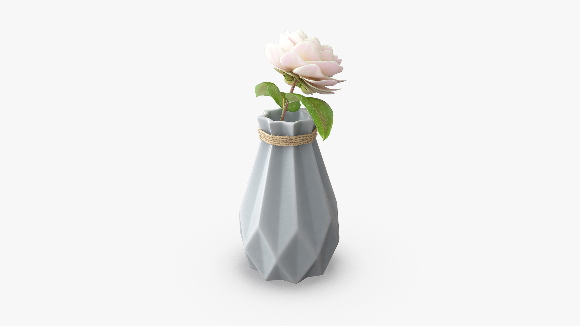 3D Diamond shape Vase with Camelia Flower model