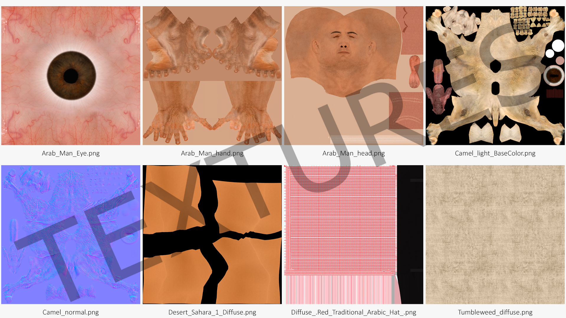 3D Arab Man with Camel on Desert Fur model