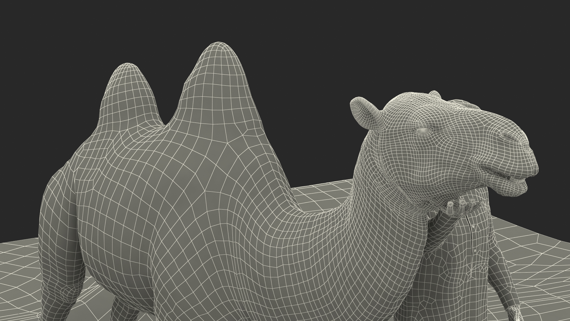 3D Arab Man with Camel on Desert Fur model