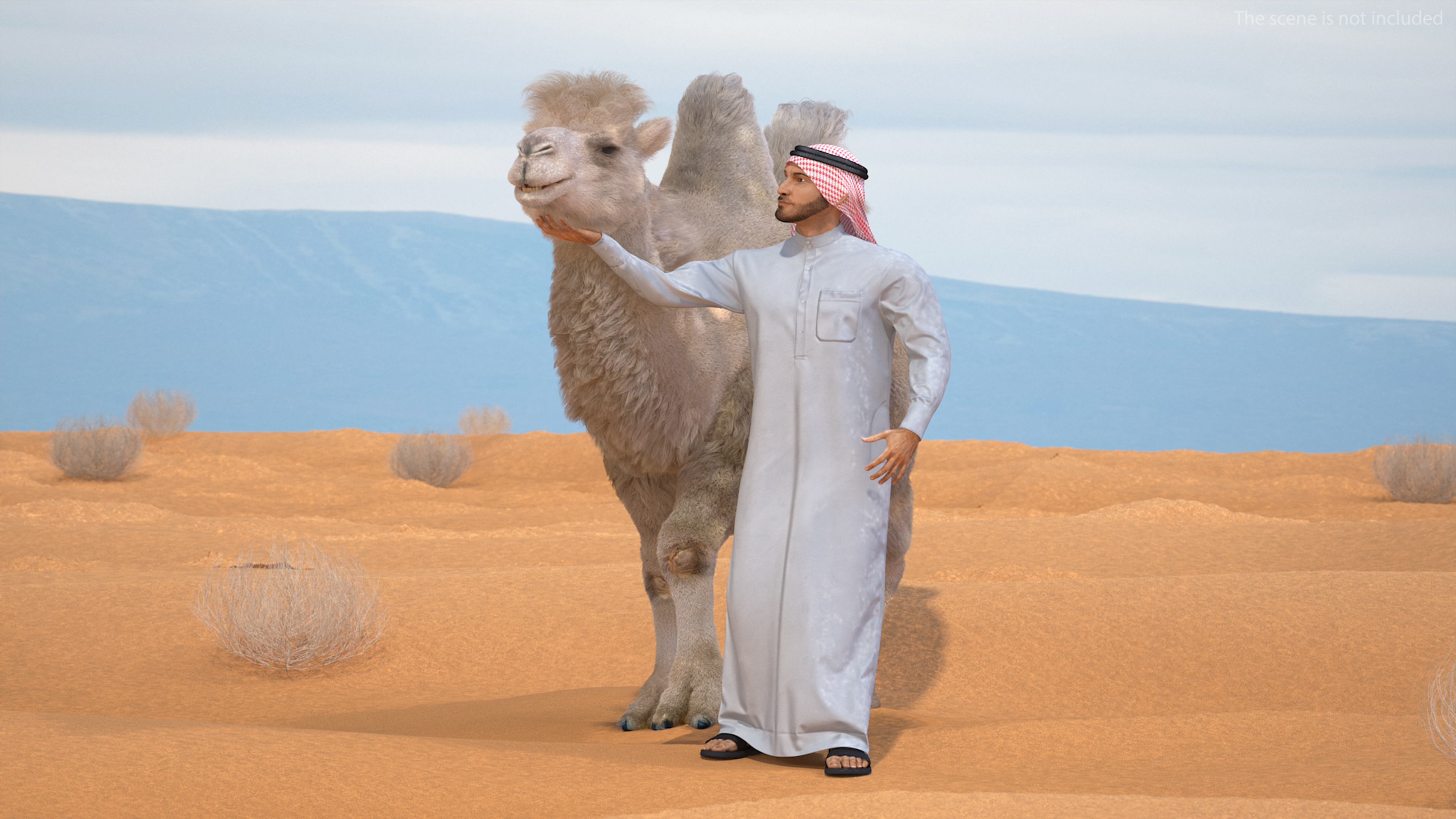 3D Arab Man with Camel on Desert Fur model