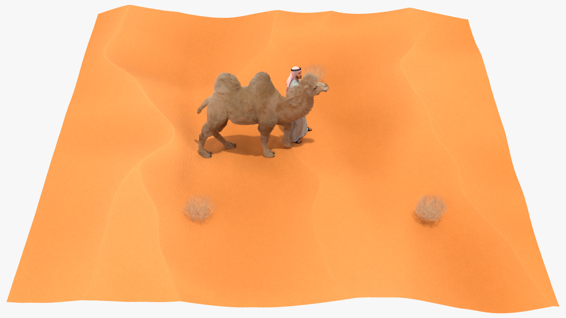 3D Arab Man with Camel on Desert Fur model