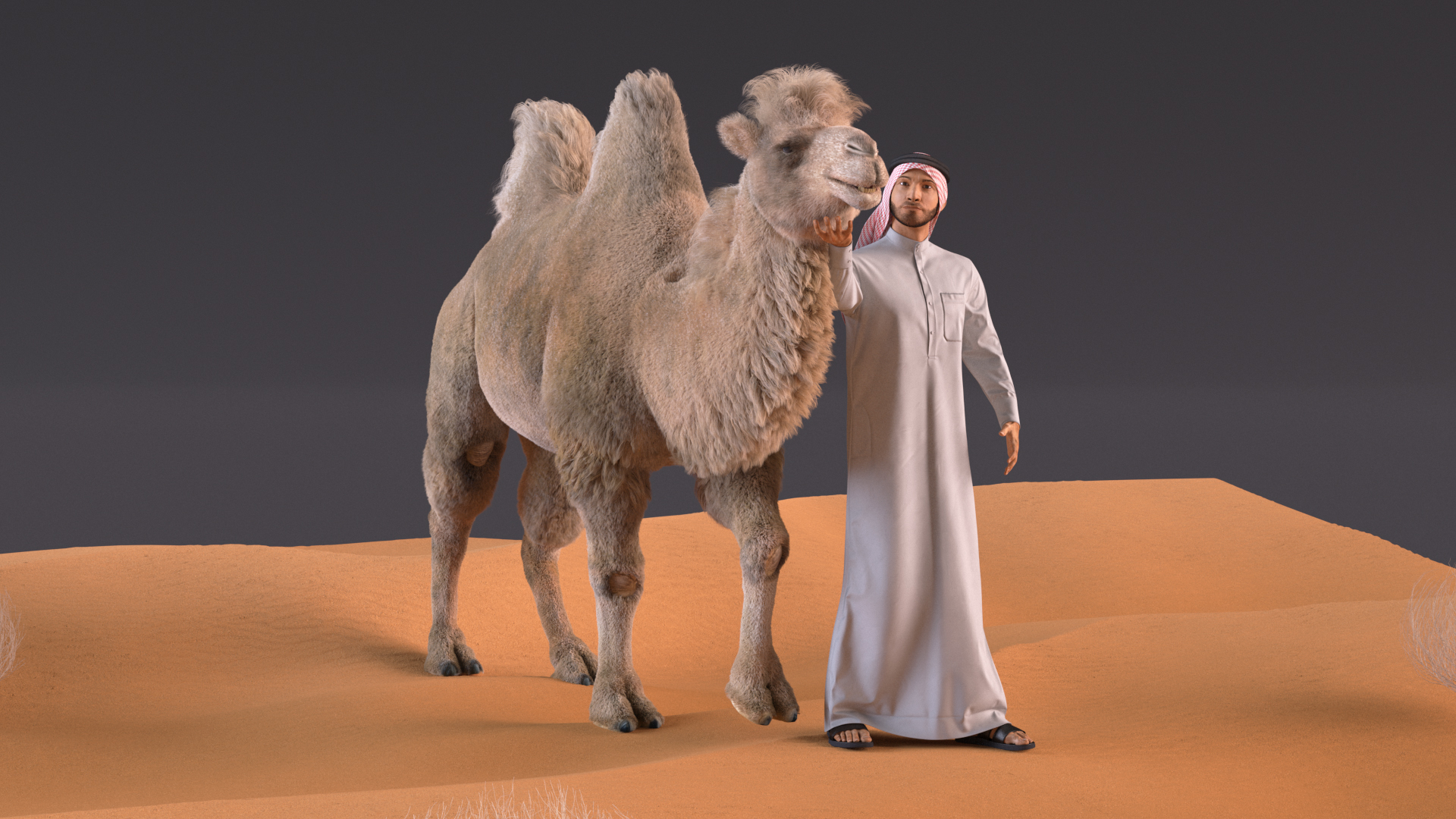 3D Arab Man with Camel on Desert Fur model