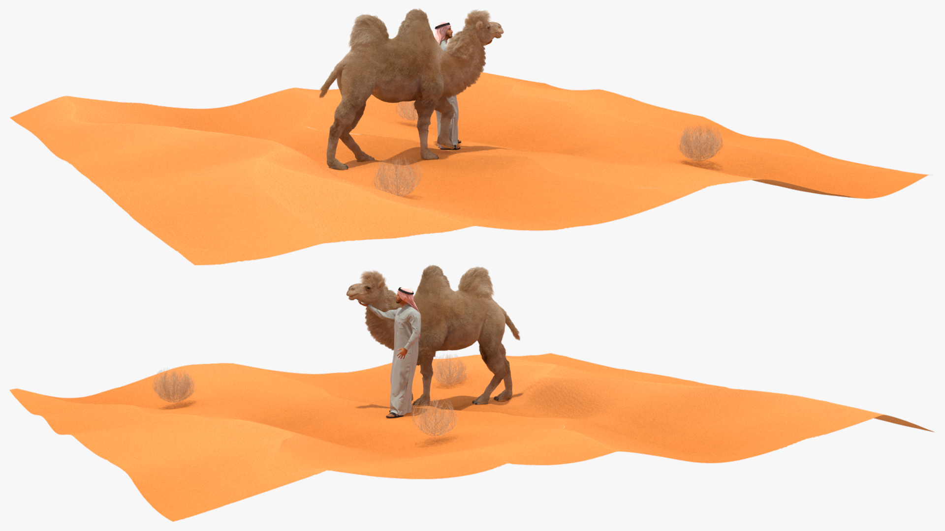 3D Arab Man with Camel on Desert Fur model
