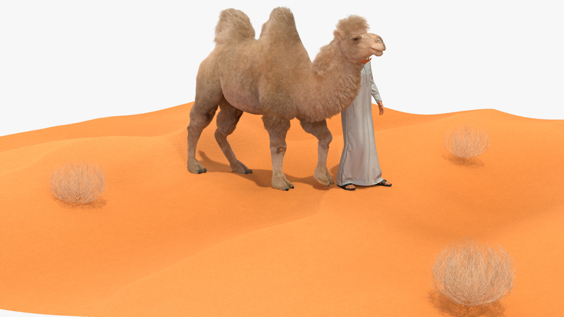 3D Arab Man with Camel on Desert Fur model