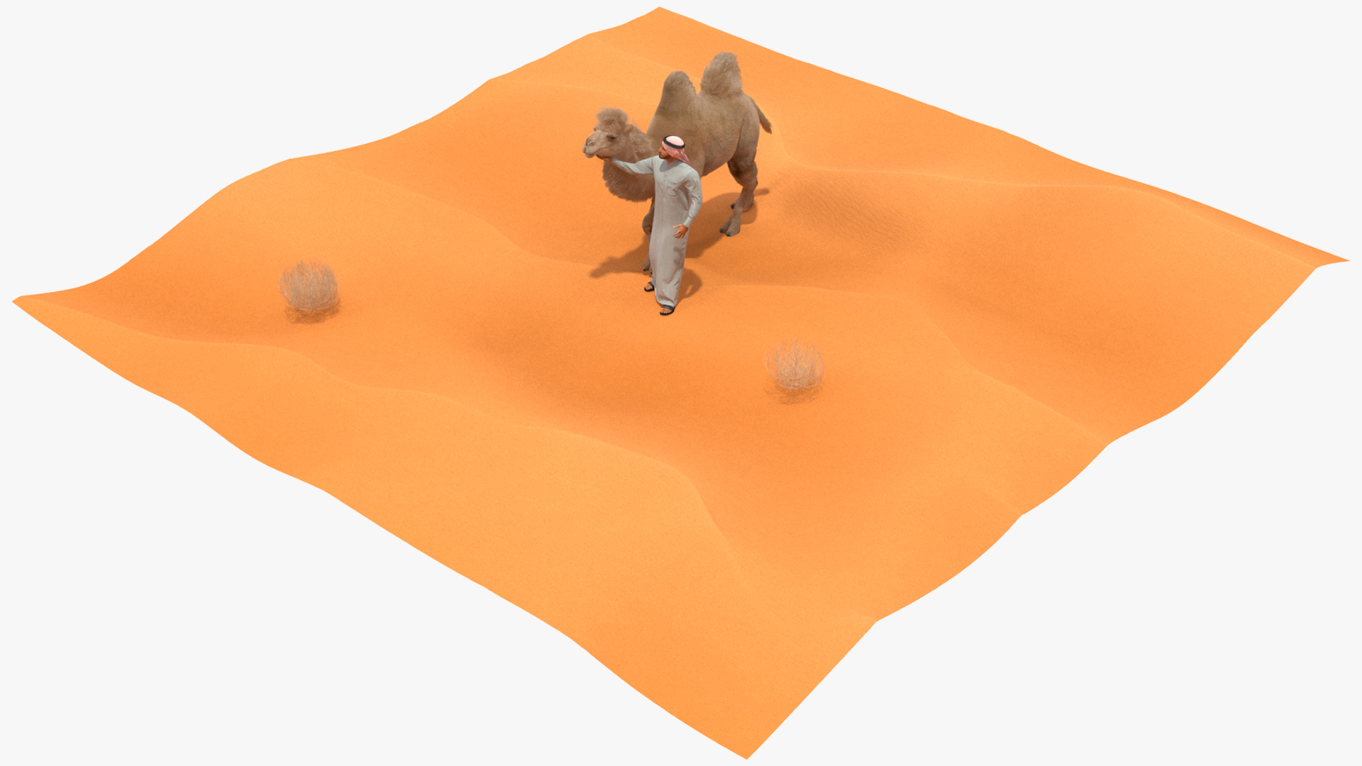 3D Arab Man with Camel on Desert Fur model
