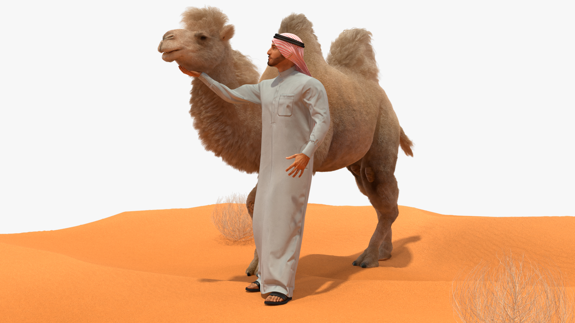 3D Arab Man with Camel on Desert Fur model