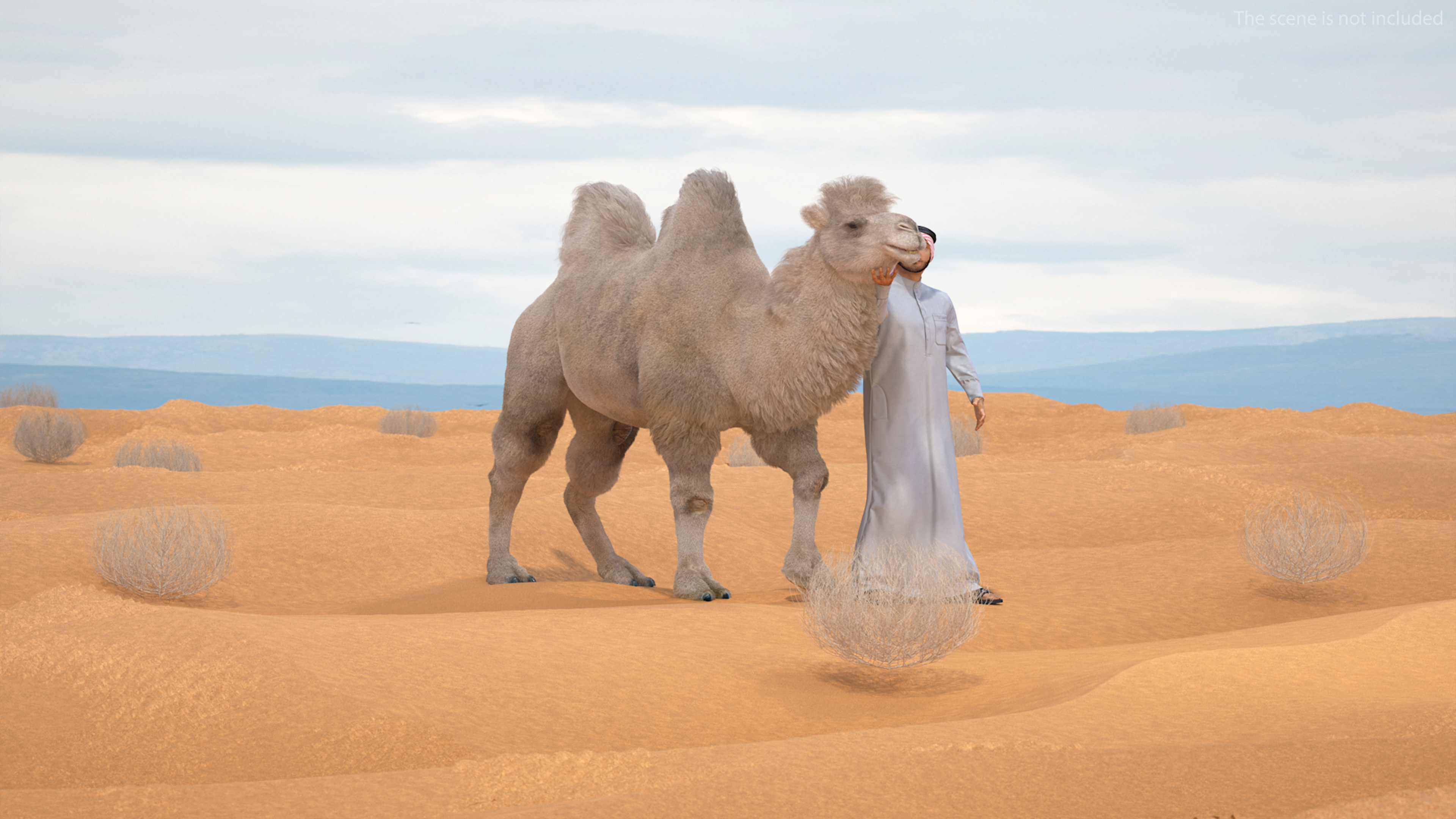 3D Arab Man with Camel on Desert Fur model