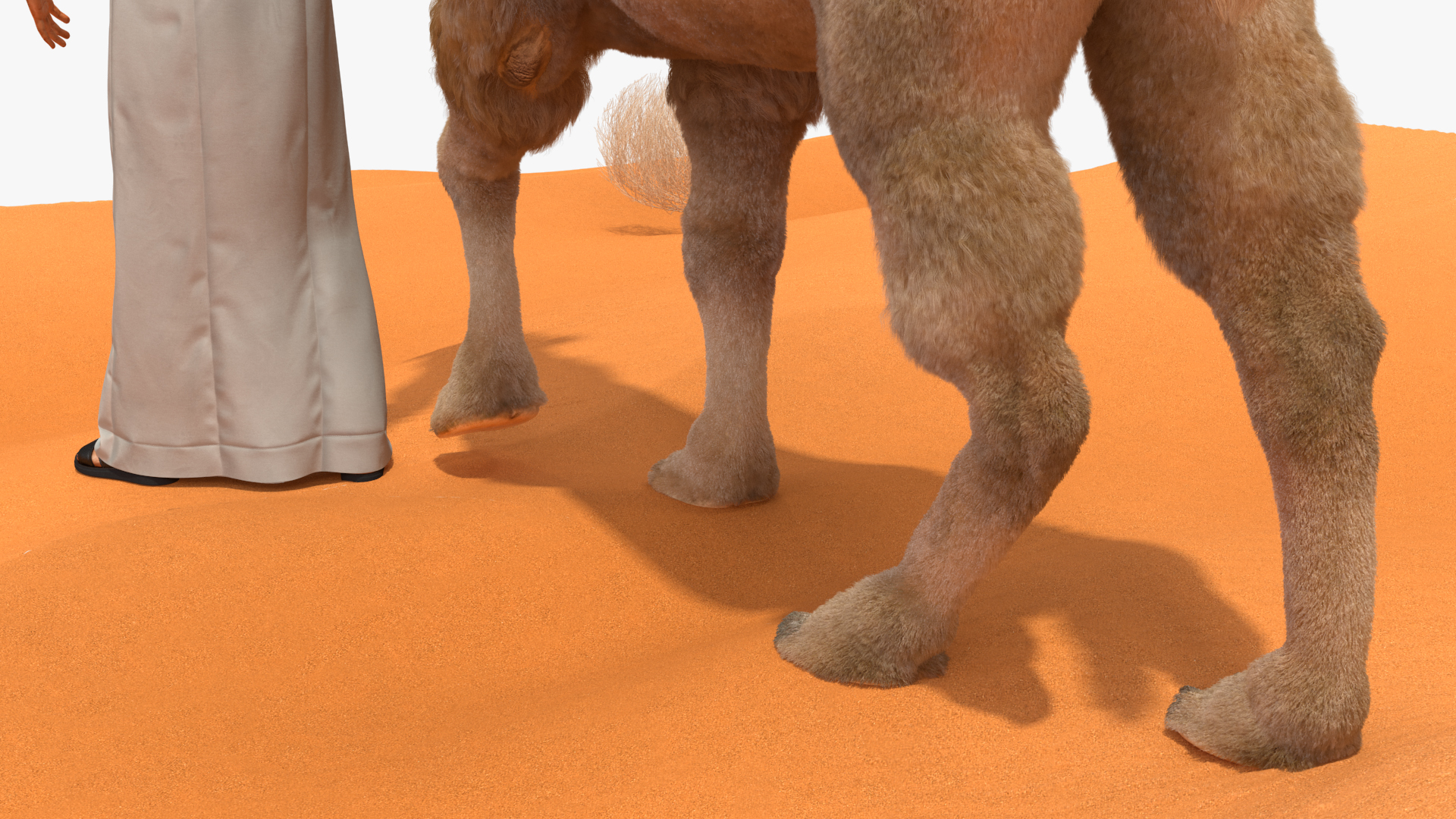 3D Arab Man with Camel on Desert Fur model