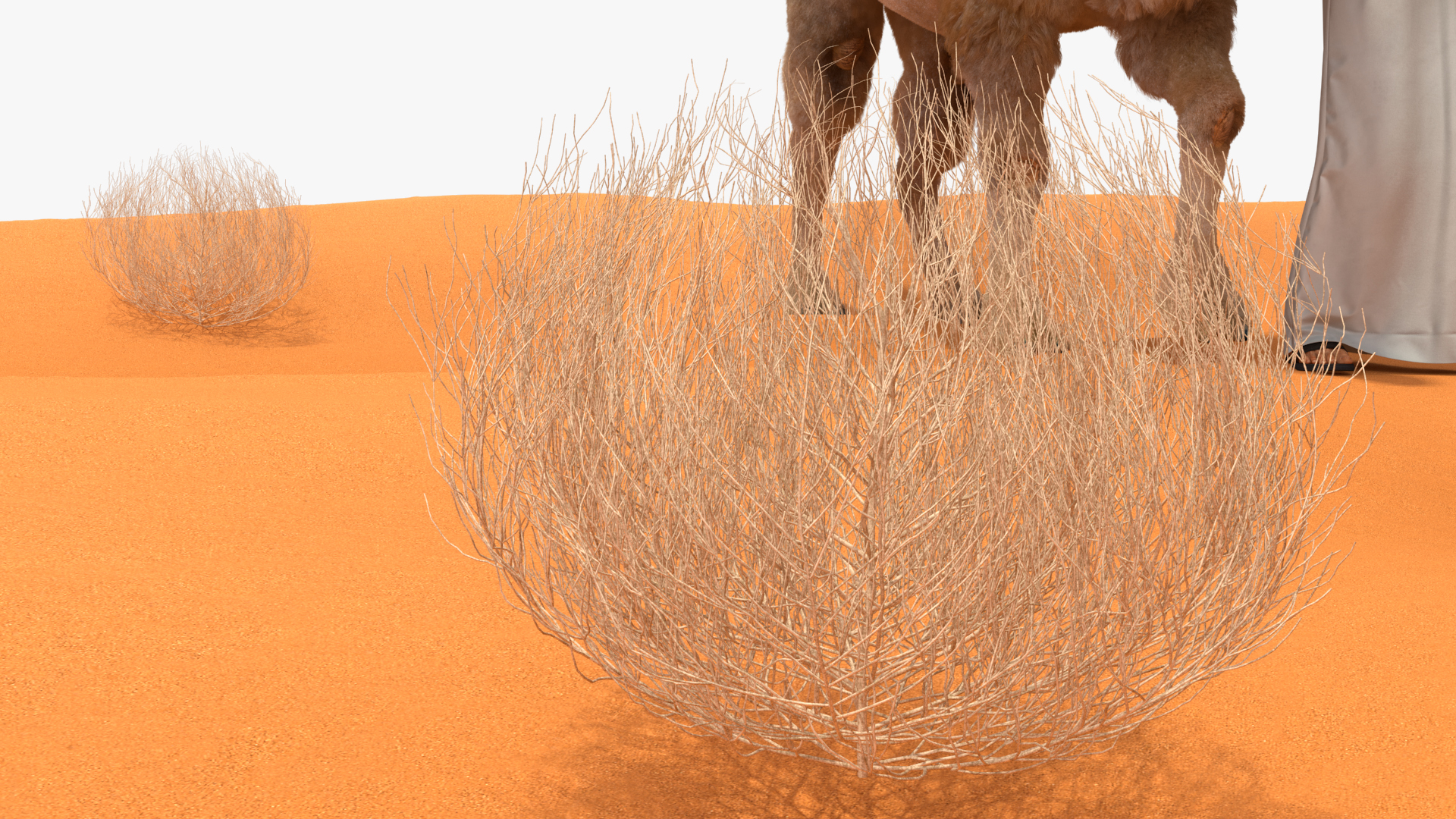 3D Arab Man with Camel on Desert Fur model