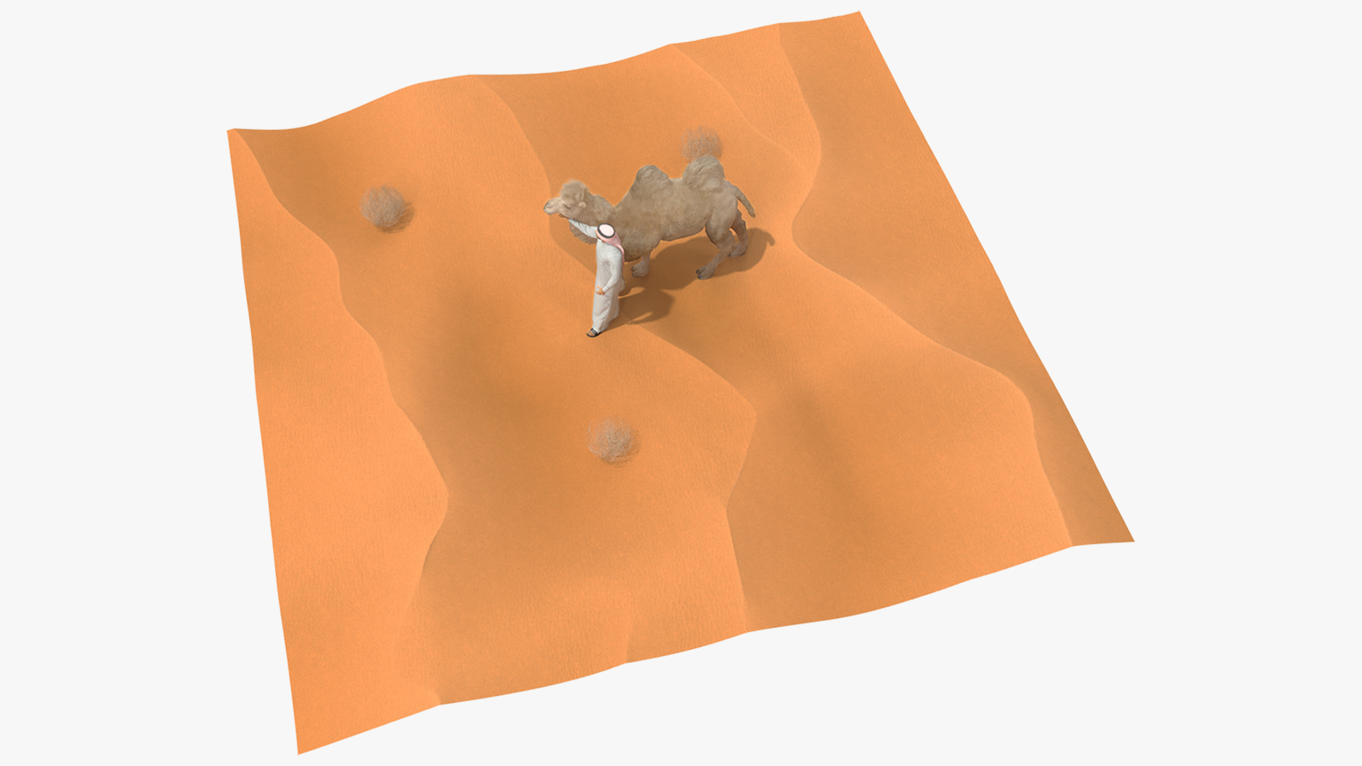 3D Arab Man with Camel on Desert Fur model