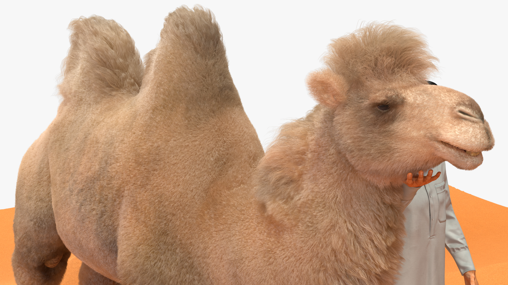 3D Arab Man with Camel on Desert Fur model