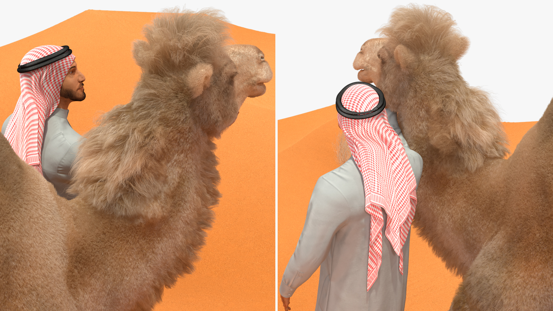 3D Arab Man with Camel on Desert Fur model