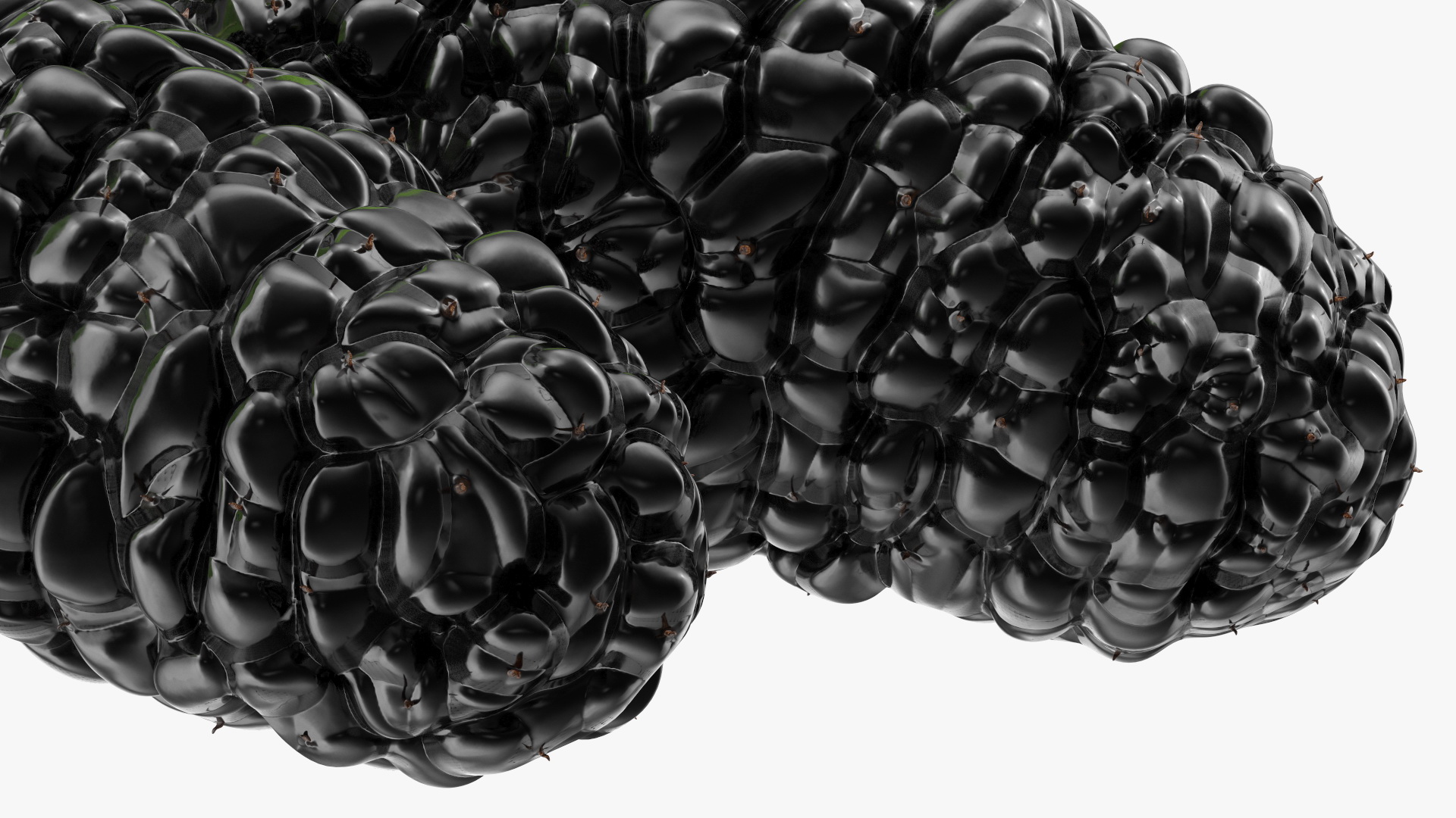 Mulberry Fruit Black with Leaves 3D