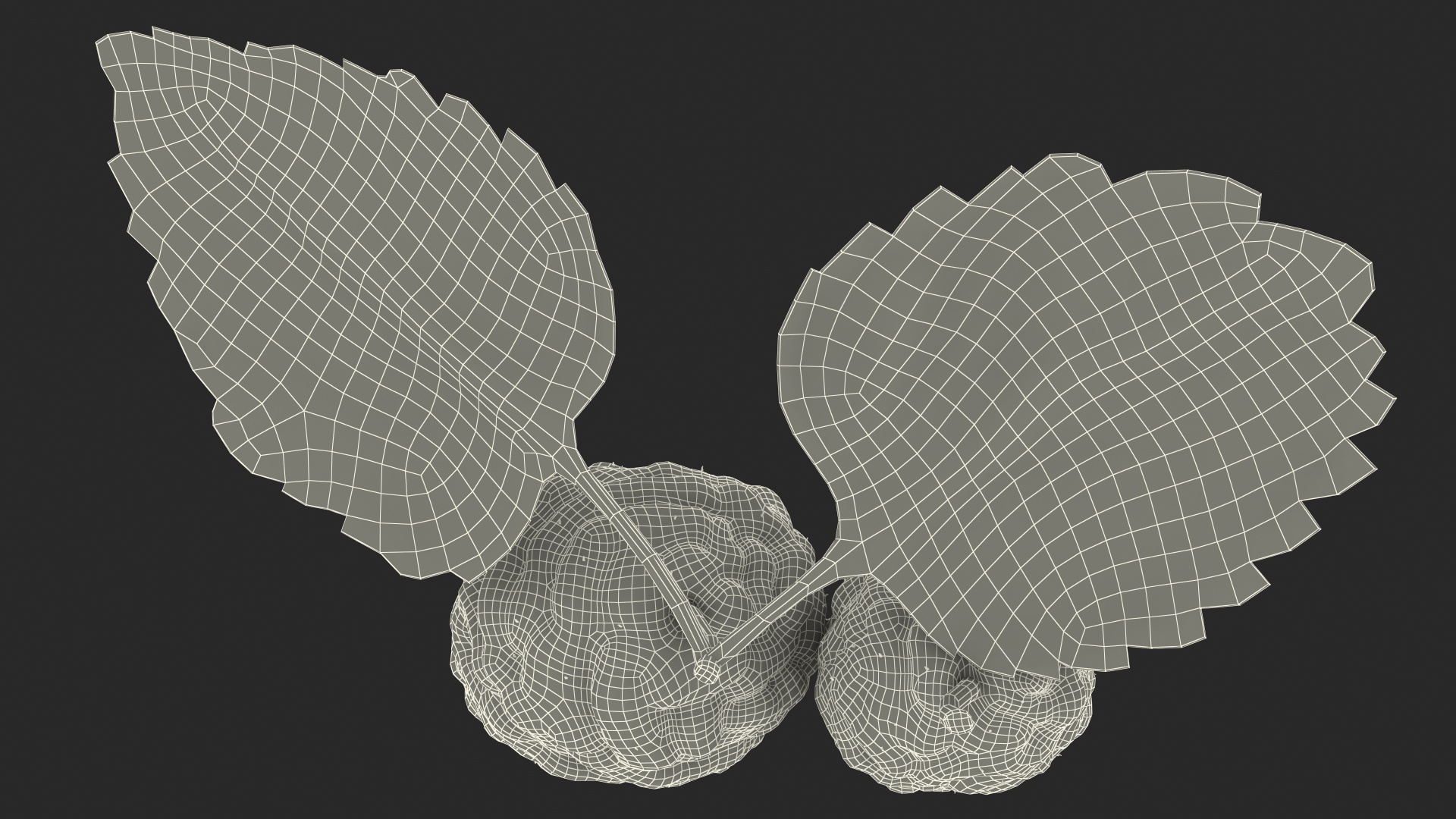 Mulberry Fruit Black with Leaves 3D