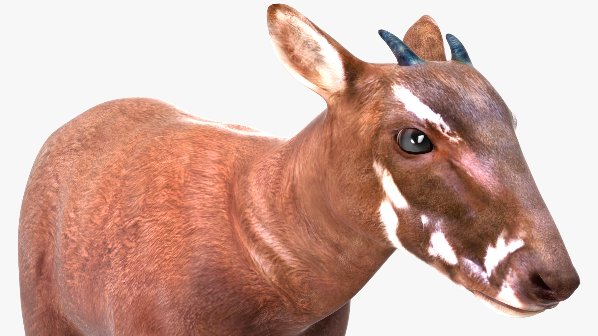 Saola Standart Pose 3D model