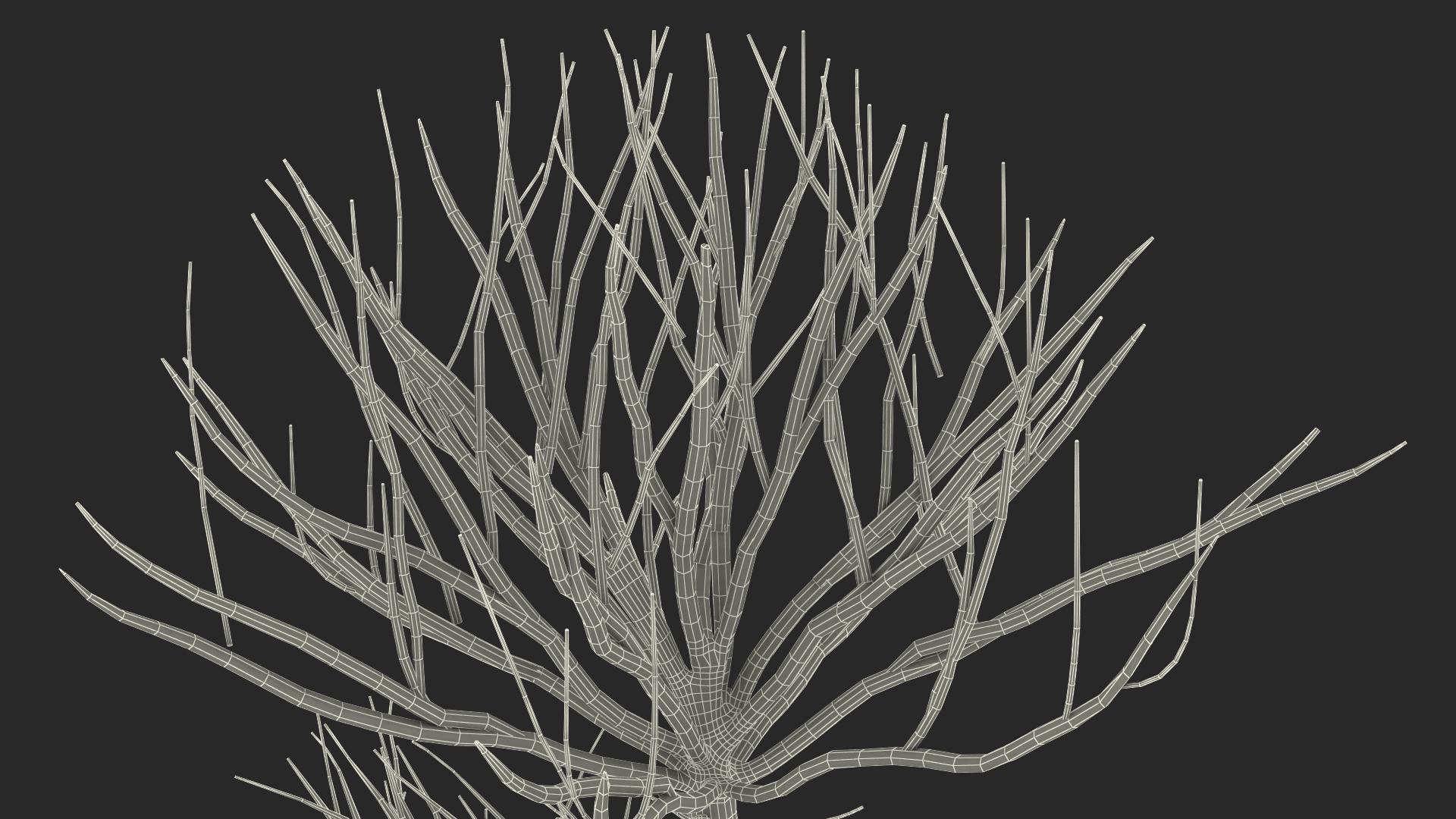 Bare Bonsai Tree in Pot Fur 3D