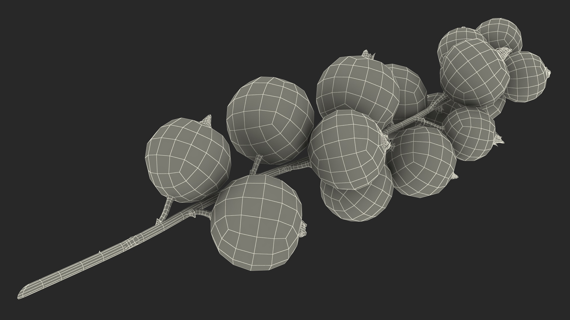White Currant Berry Cluster 3D