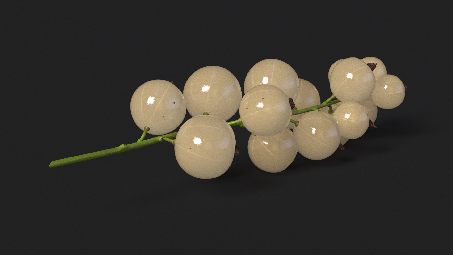 White Currant Berry Cluster 3D
