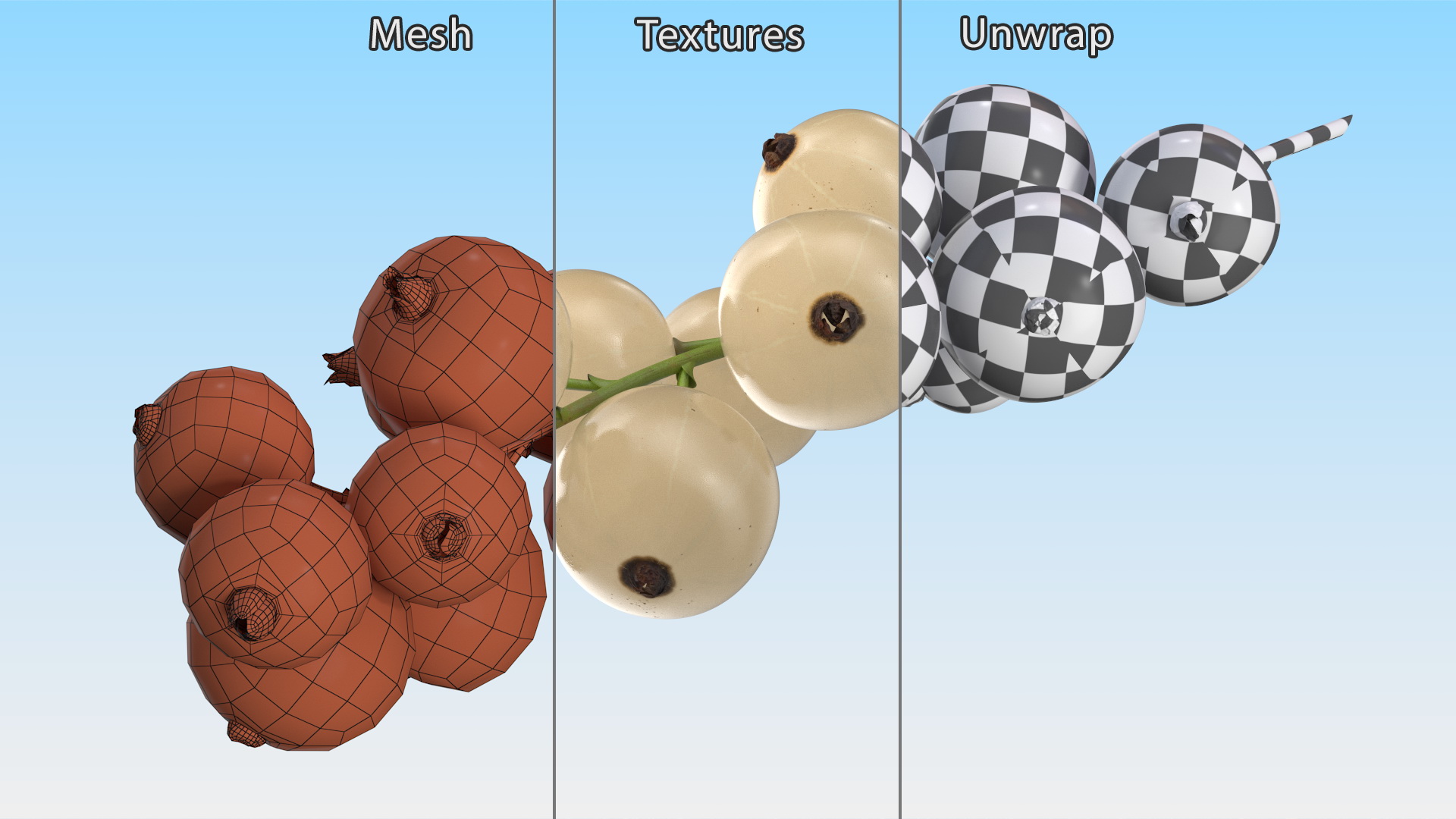 White Currant Berry Cluster 3D