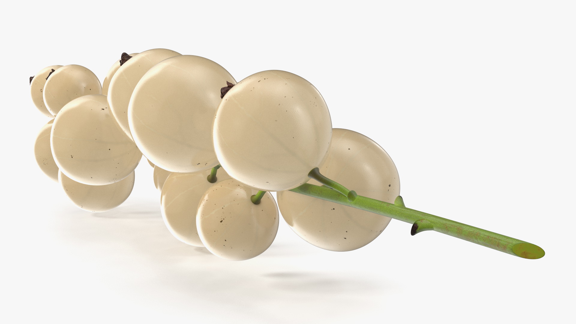 White Currant Berry Cluster 3D