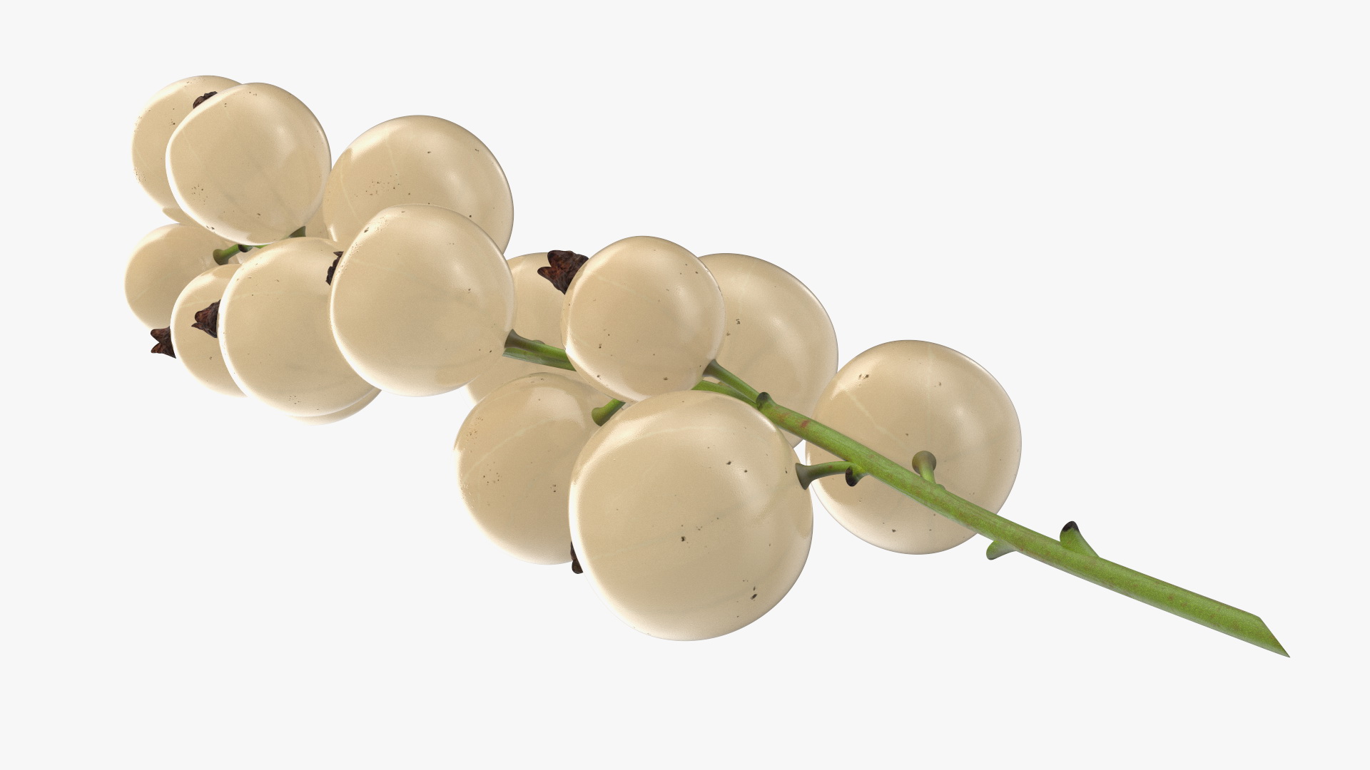 White Currant Berry Cluster 3D