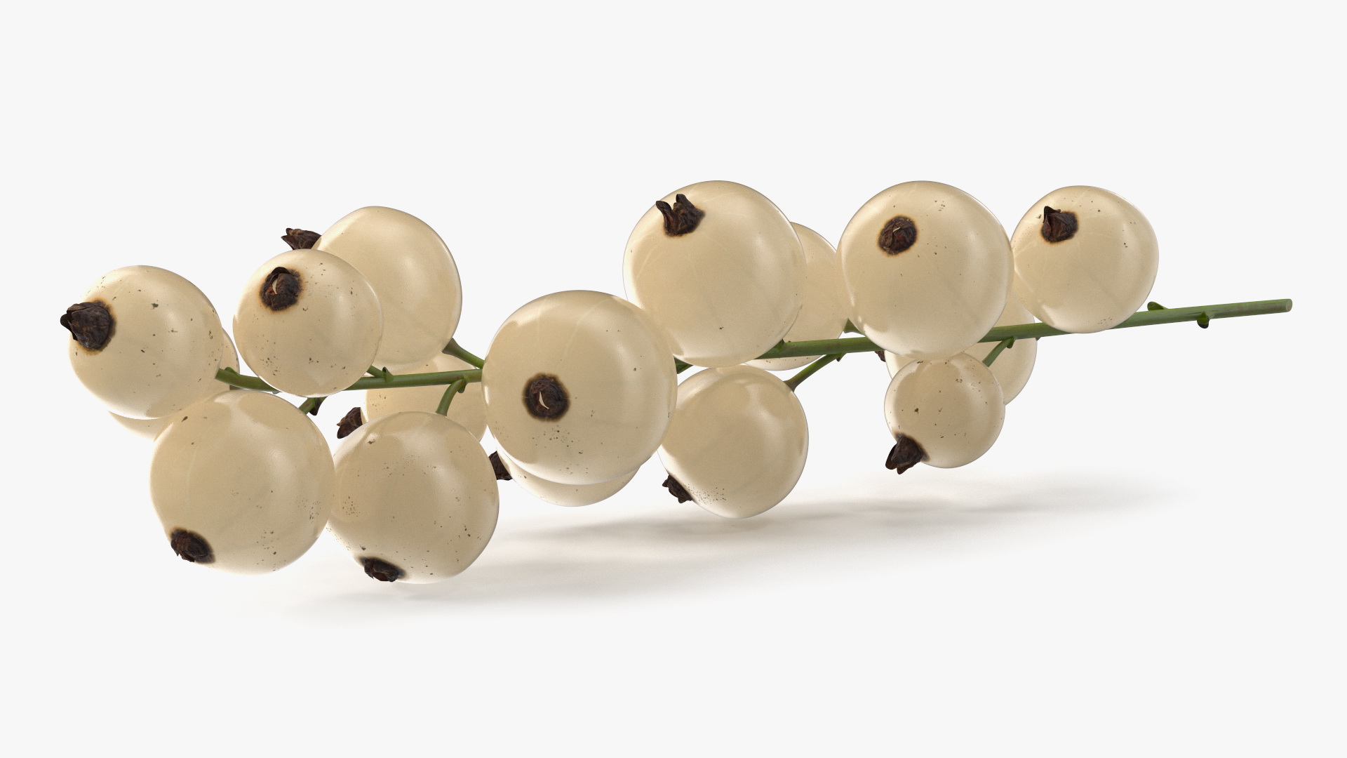White Currant Berry Cluster 3D