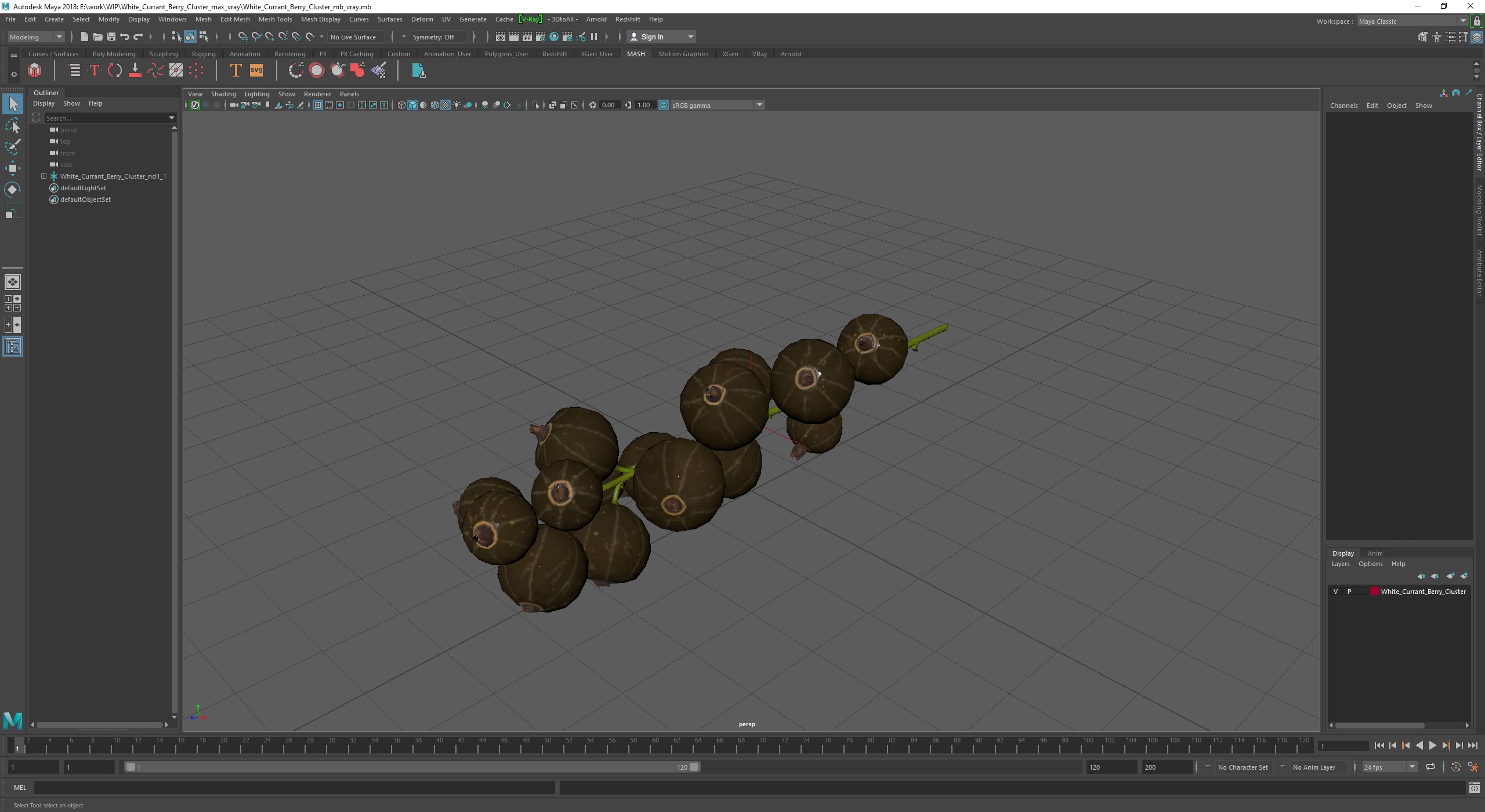 White Currant Berry Cluster 3D