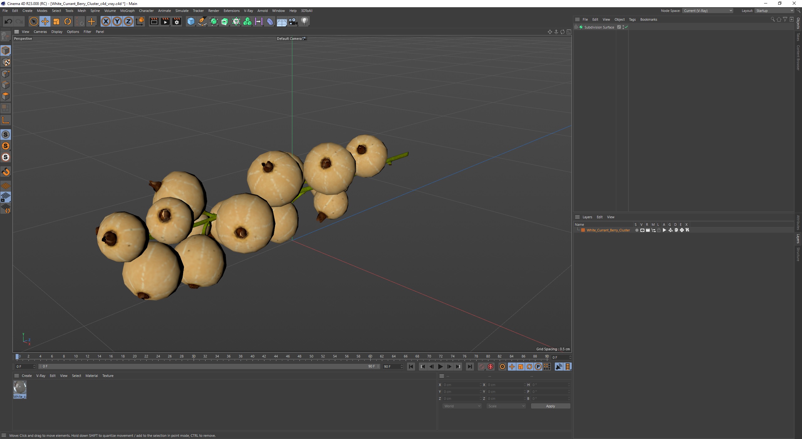 White Currant Berry Cluster 3D