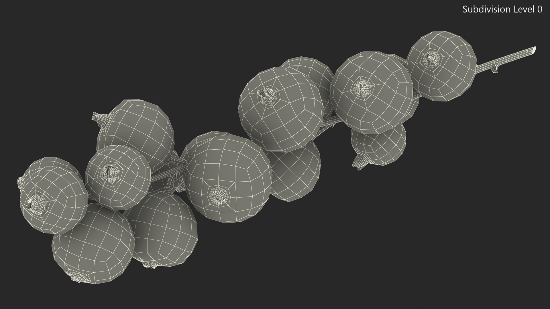 White Currant Berry Cluster 3D