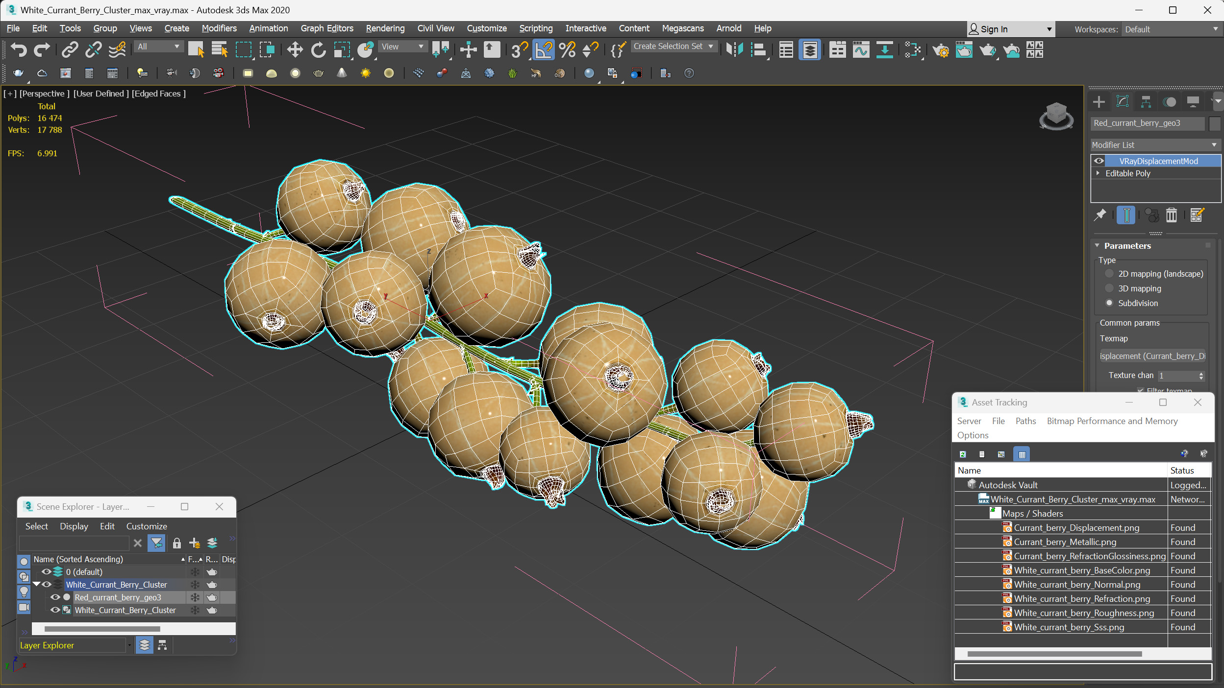 White Currant Berry Cluster 3D