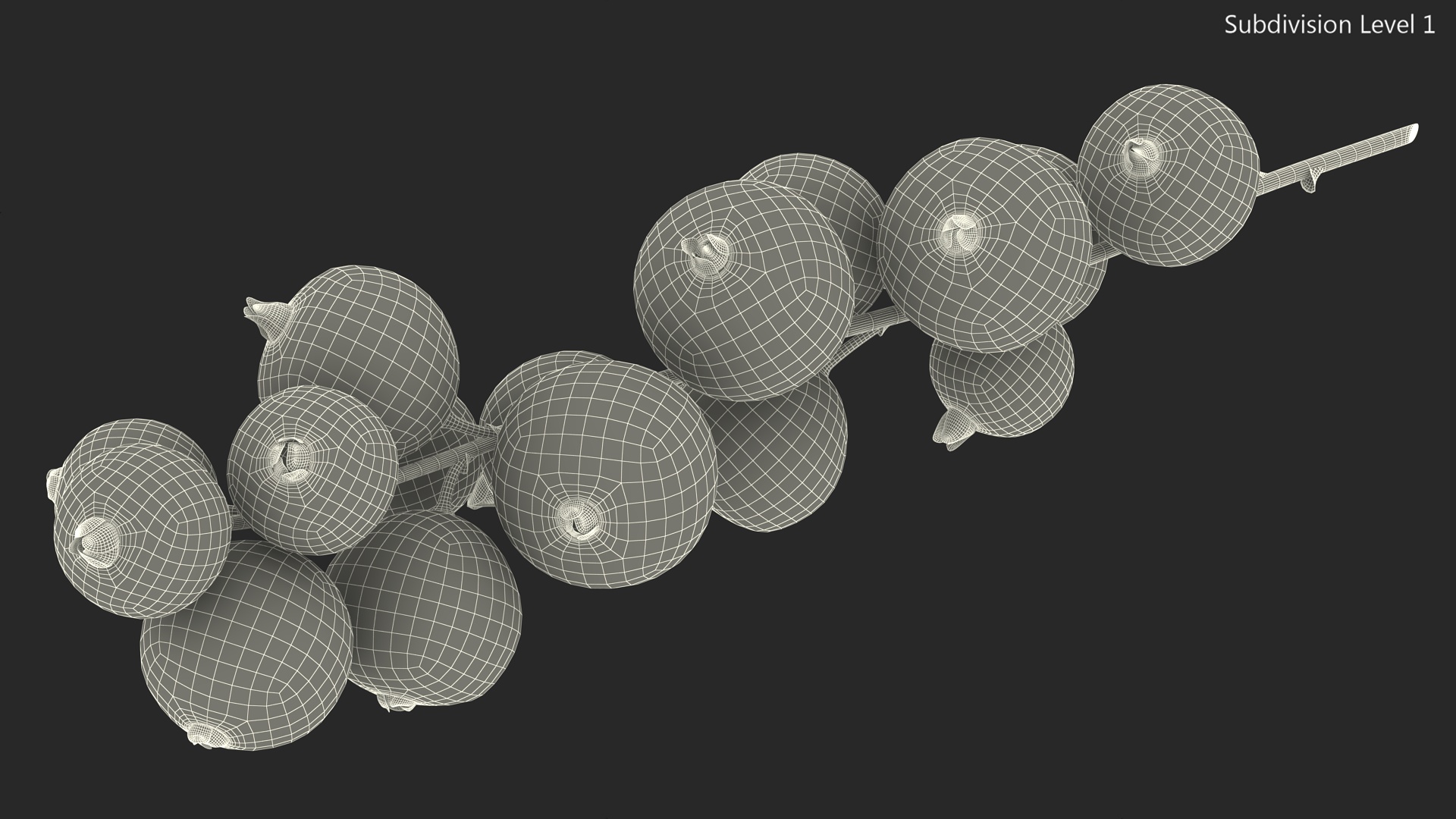 White Currant Berry Cluster 3D