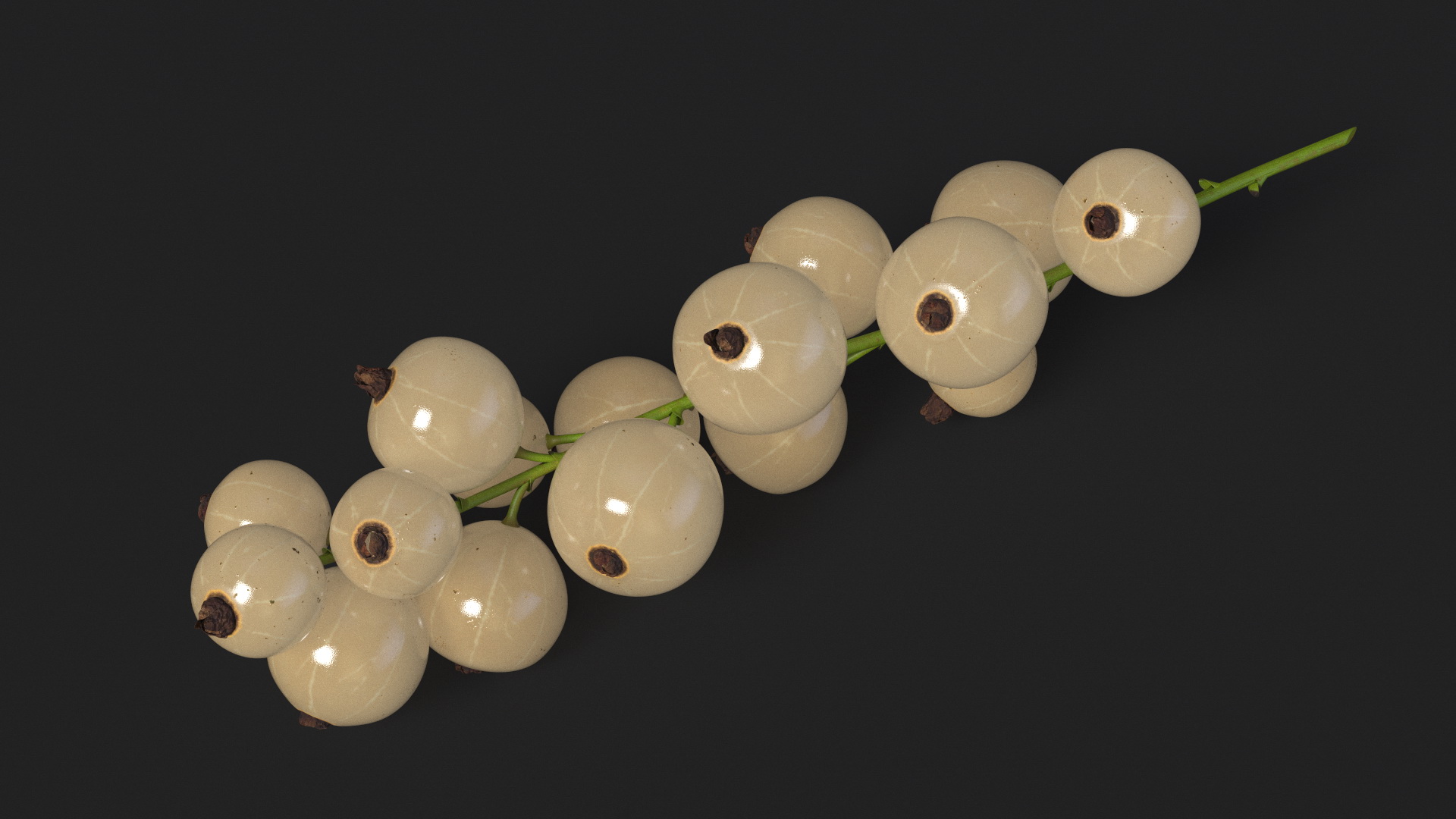 White Currant Berry Cluster 3D