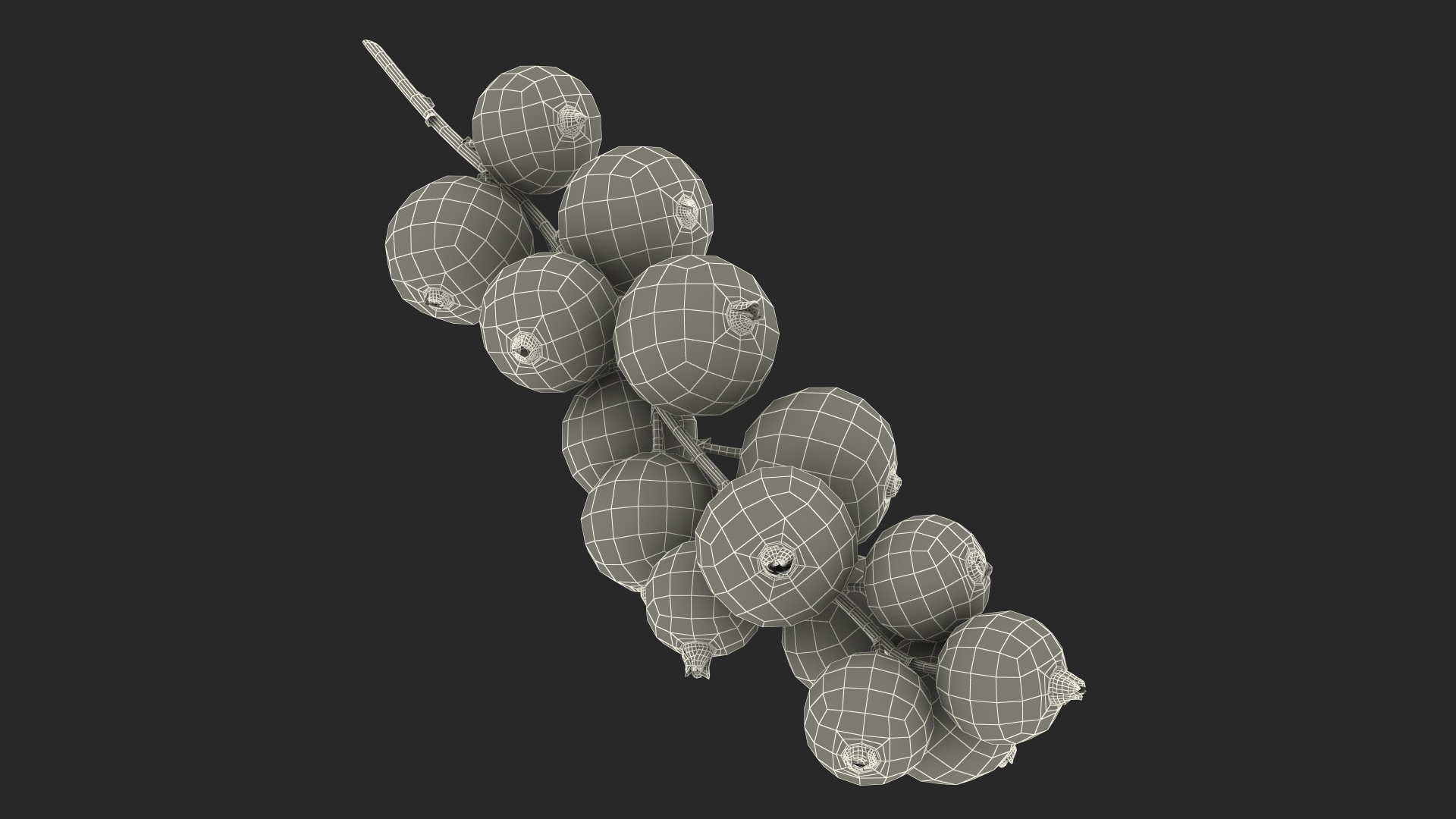 White Currant Berry Cluster 3D
