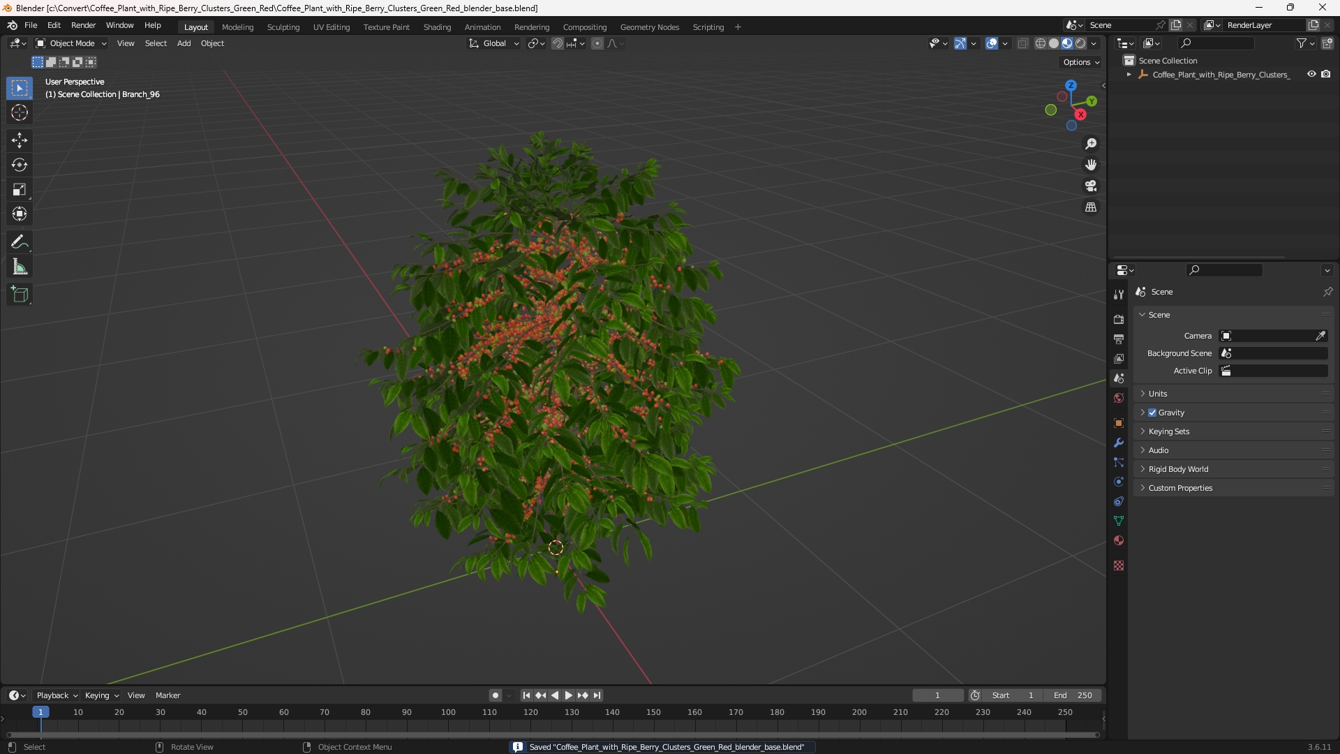 Coffee Plant with Ripe Berry Clusters Green Red, view 9