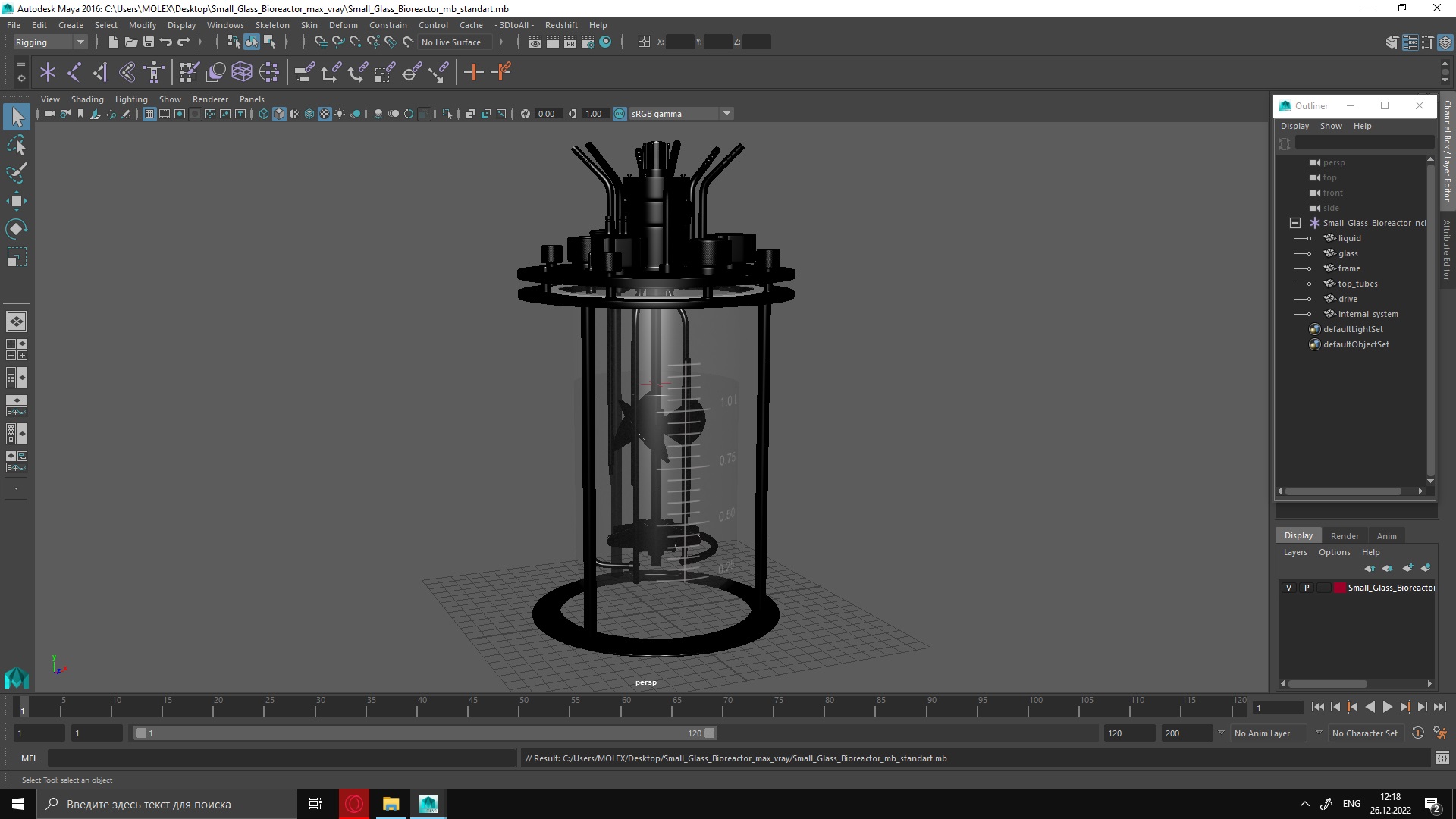 Small Glass Bioreactor 3D