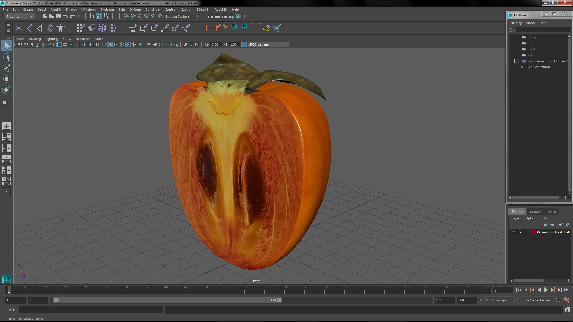 3D model Persimmon Fruit Half
