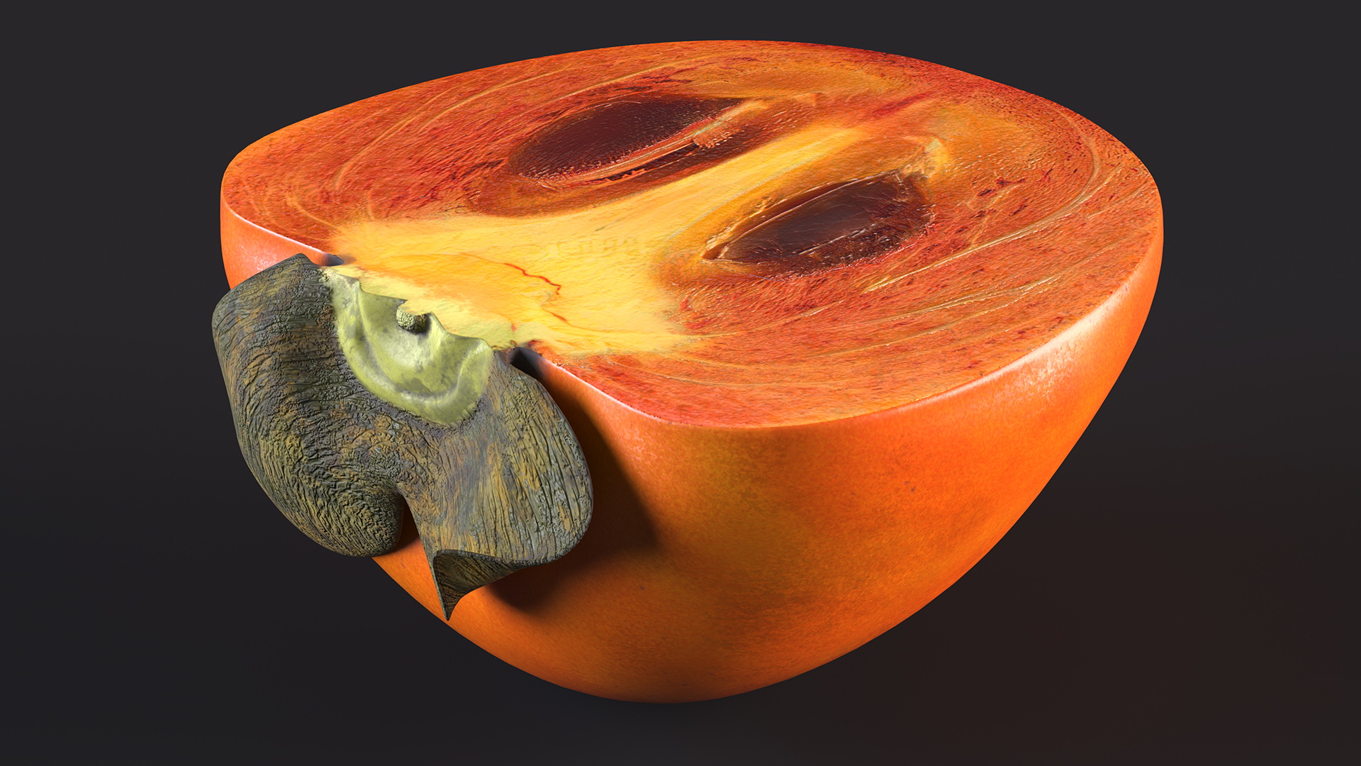 3D model Persimmon Fruit Half