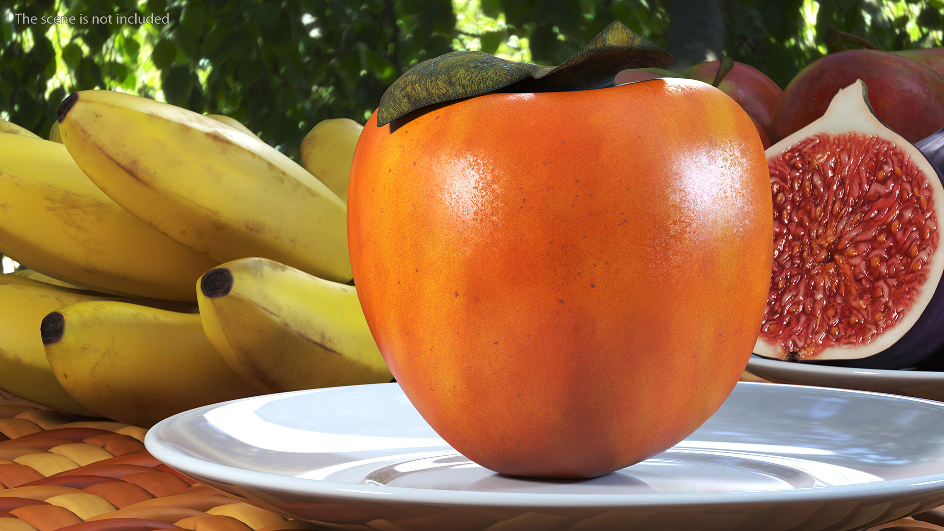 3D model Persimmon Fruit Half
