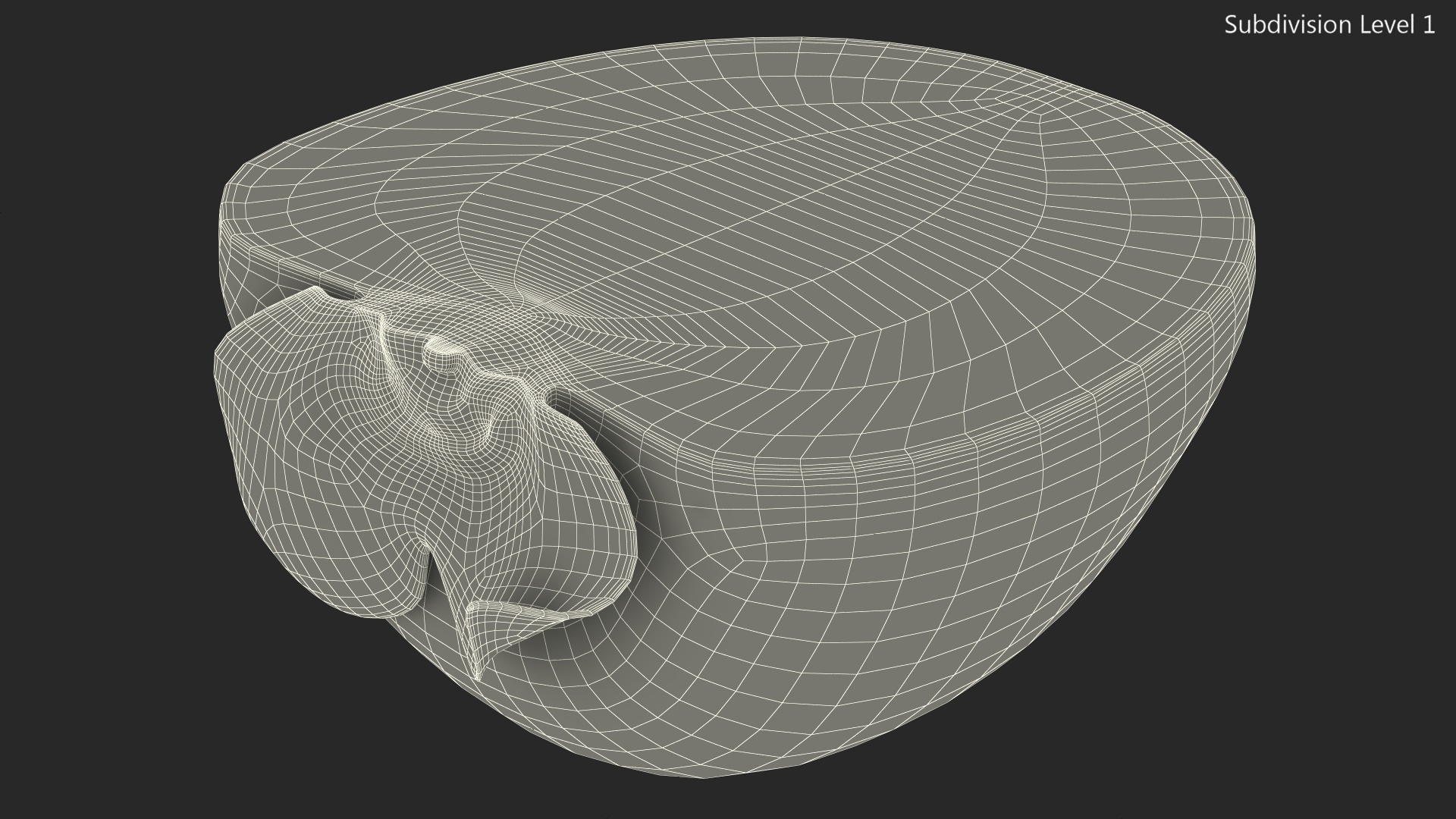 3D model Persimmon Fruit Half