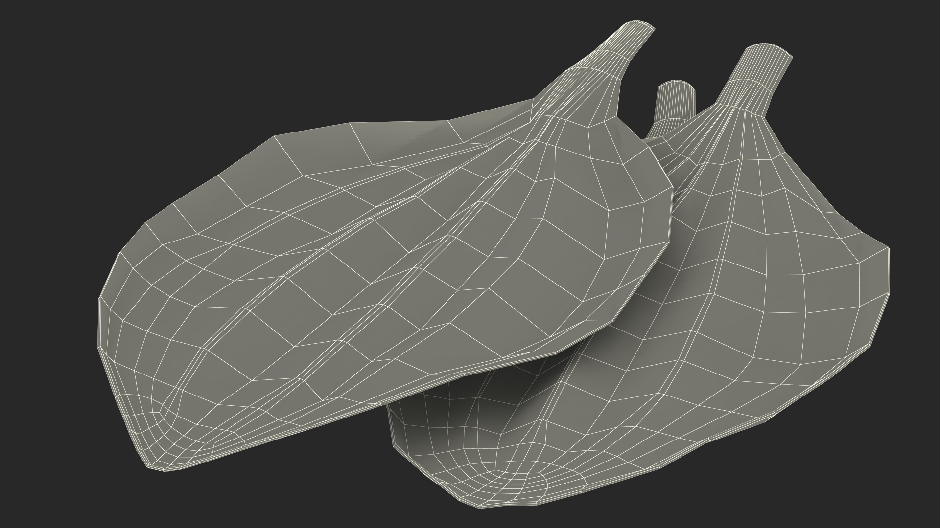 3D Realistic Plantain Plant Leaves