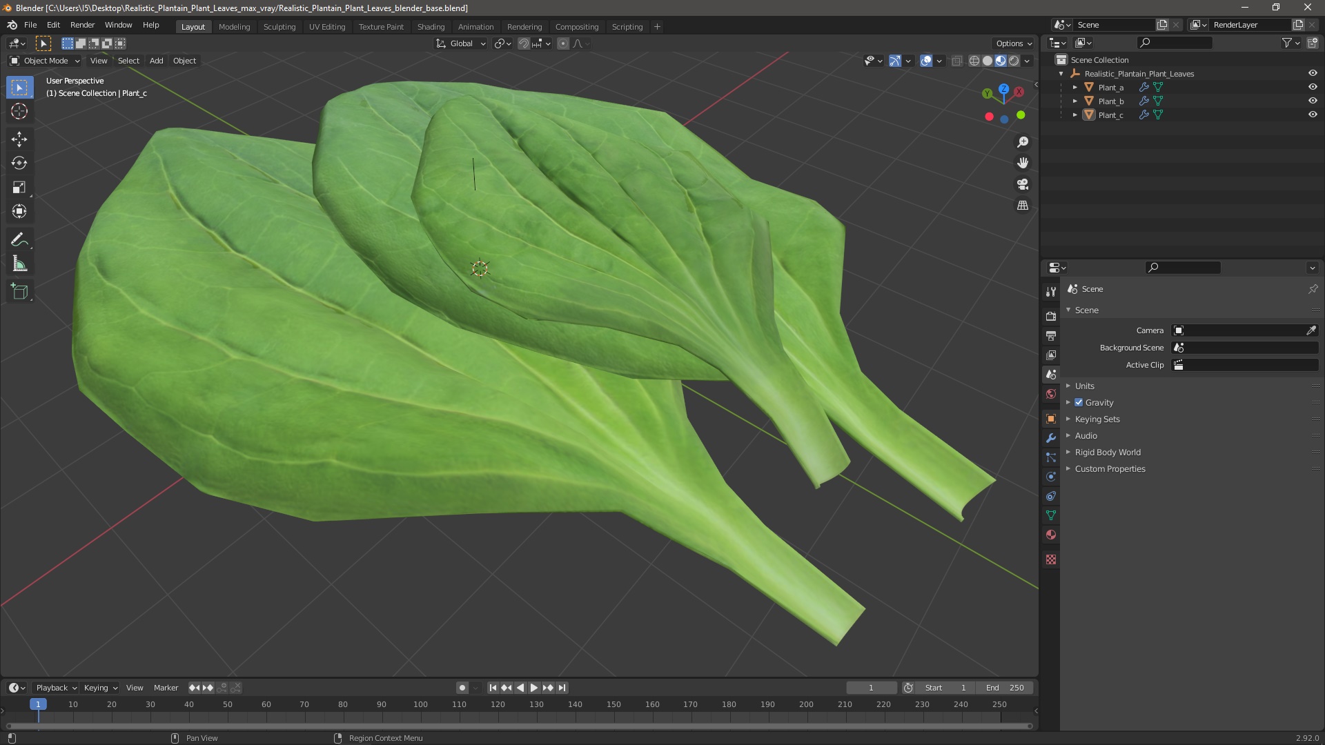3D Realistic Plantain Plant Leaves