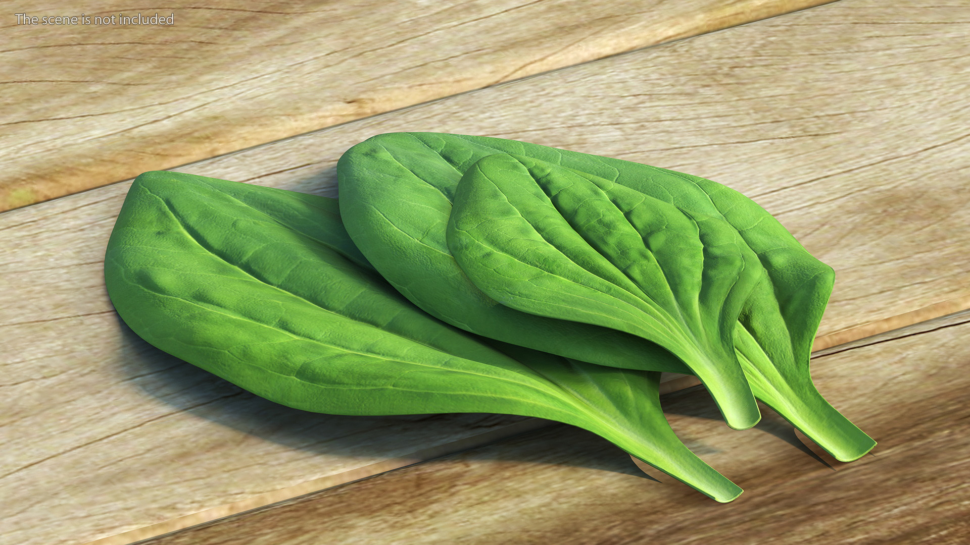 3D Realistic Plantain Plant Leaves