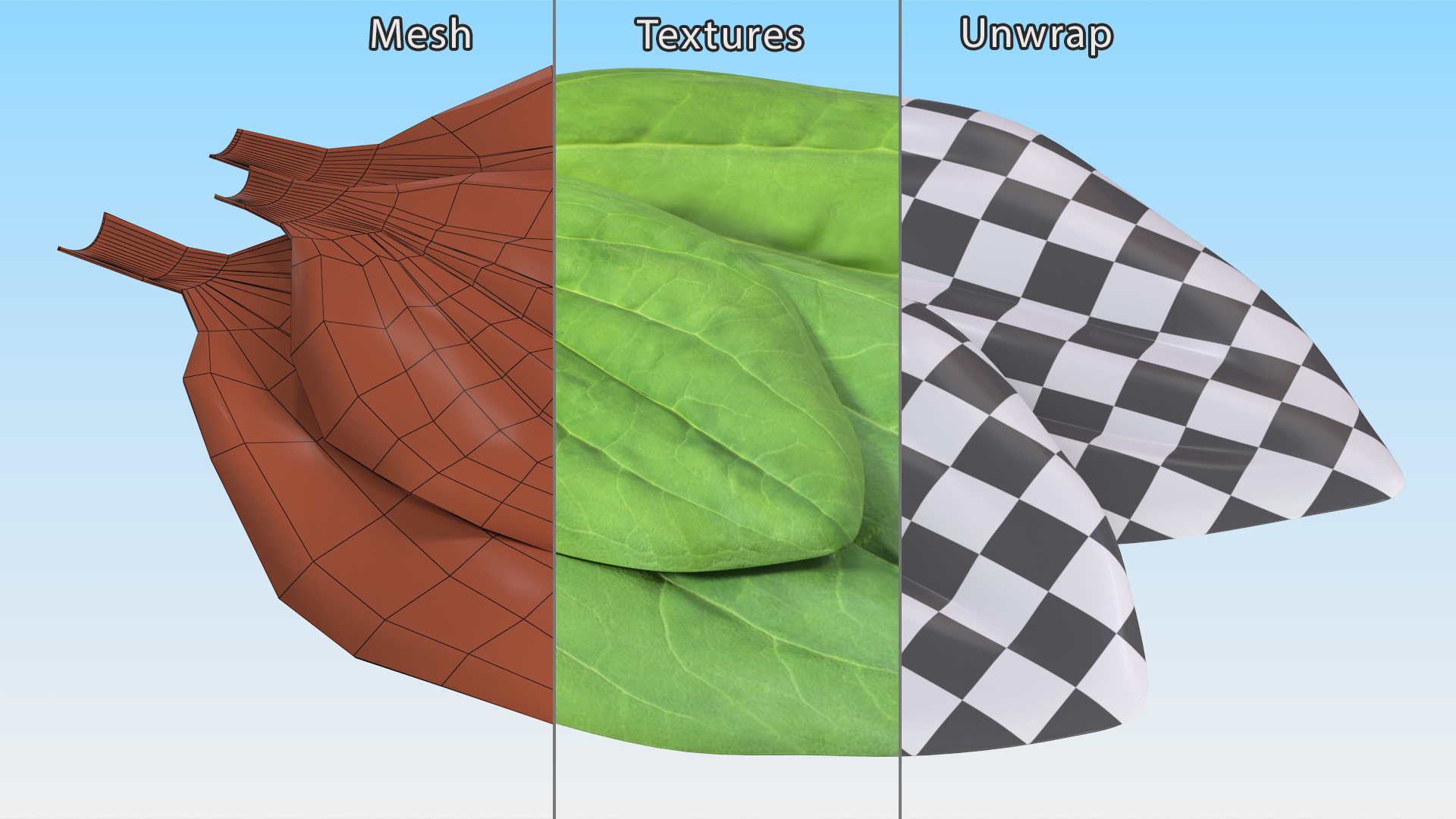 3D Realistic Plantain Plant Leaves