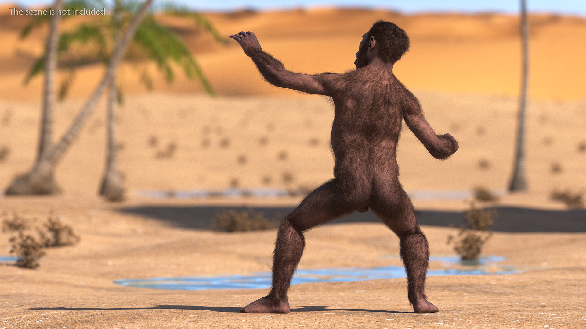 3D Homo Habilis Fur Rigged model